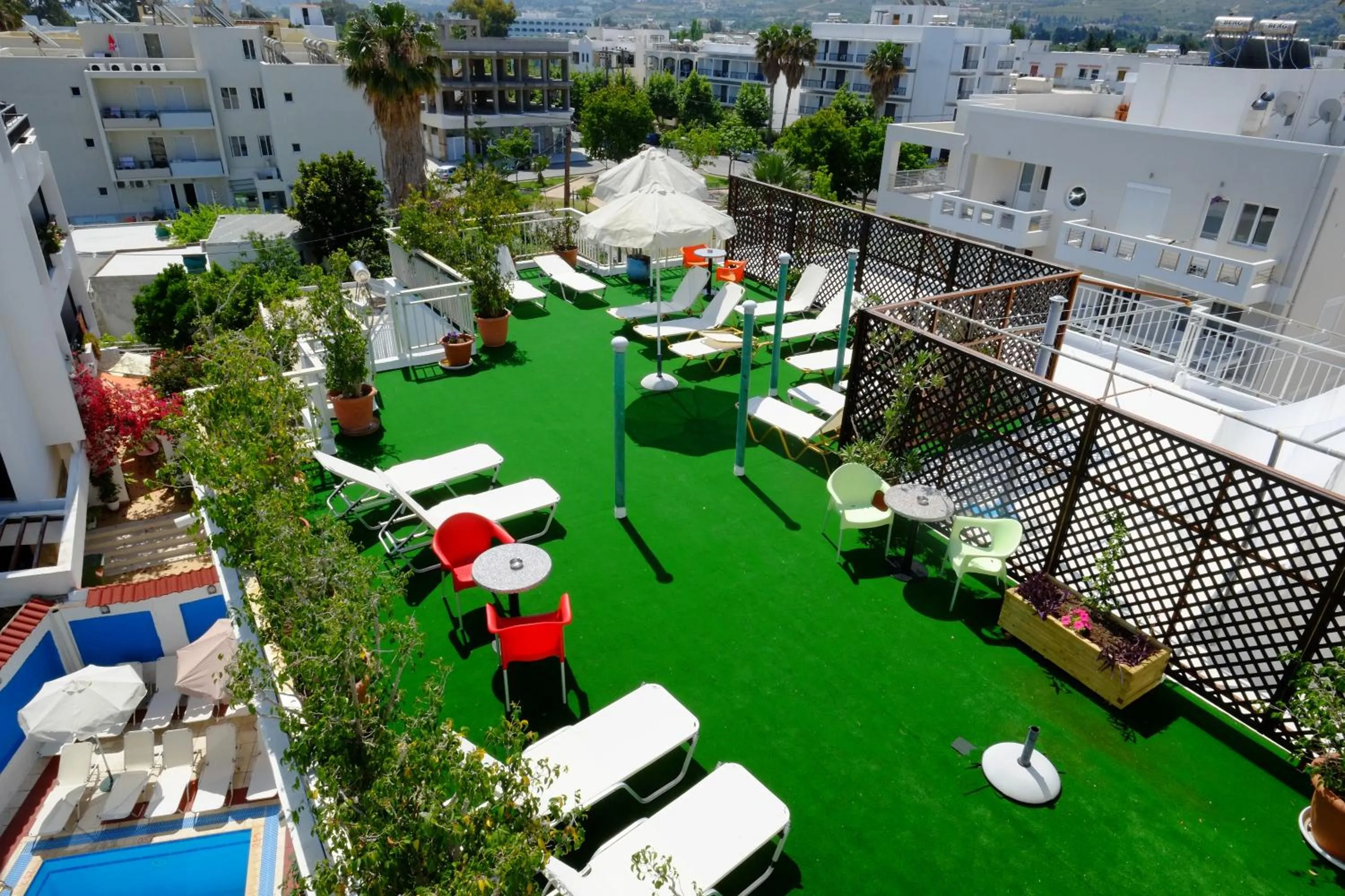 Garden in Hotel Koala