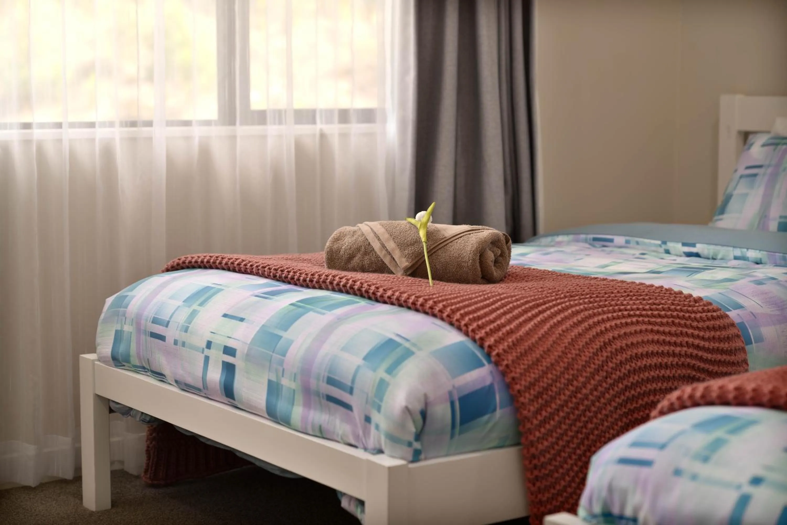 Twin Room with Shared Bathroom in Alpaca Manor Auckland
