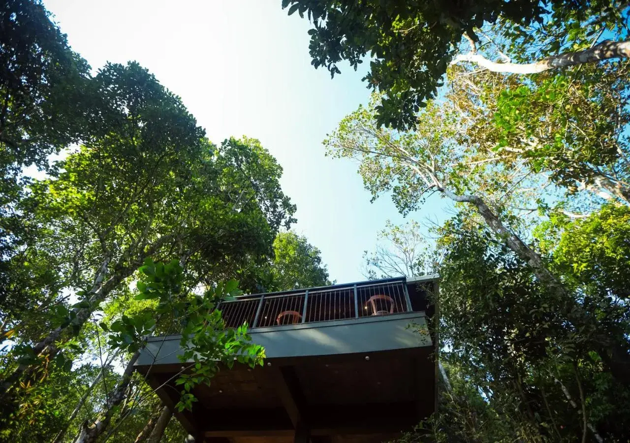 Restaurant/places to eat in Chembarathi Wayanad Boutique Resort Restaurant/places to eat in Chembarathi Wayanad Boutique Resort