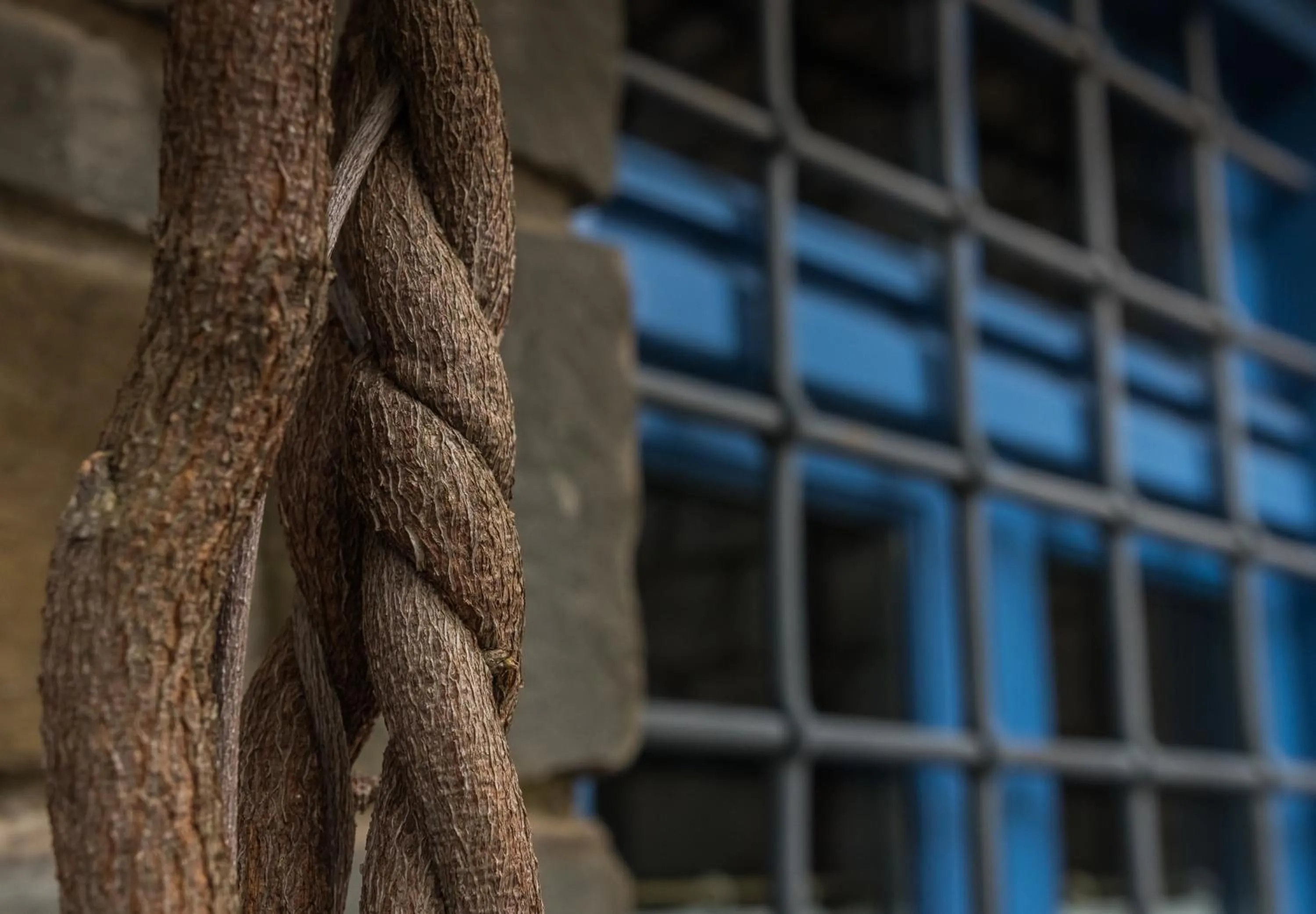 Decorative detail in Petroto