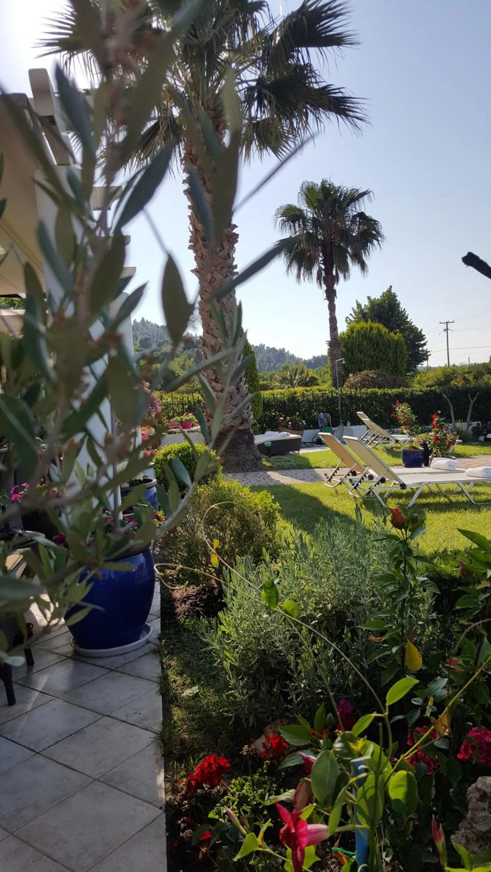 Garden in SUN RESIDENCE Exclusive Seaside Suites