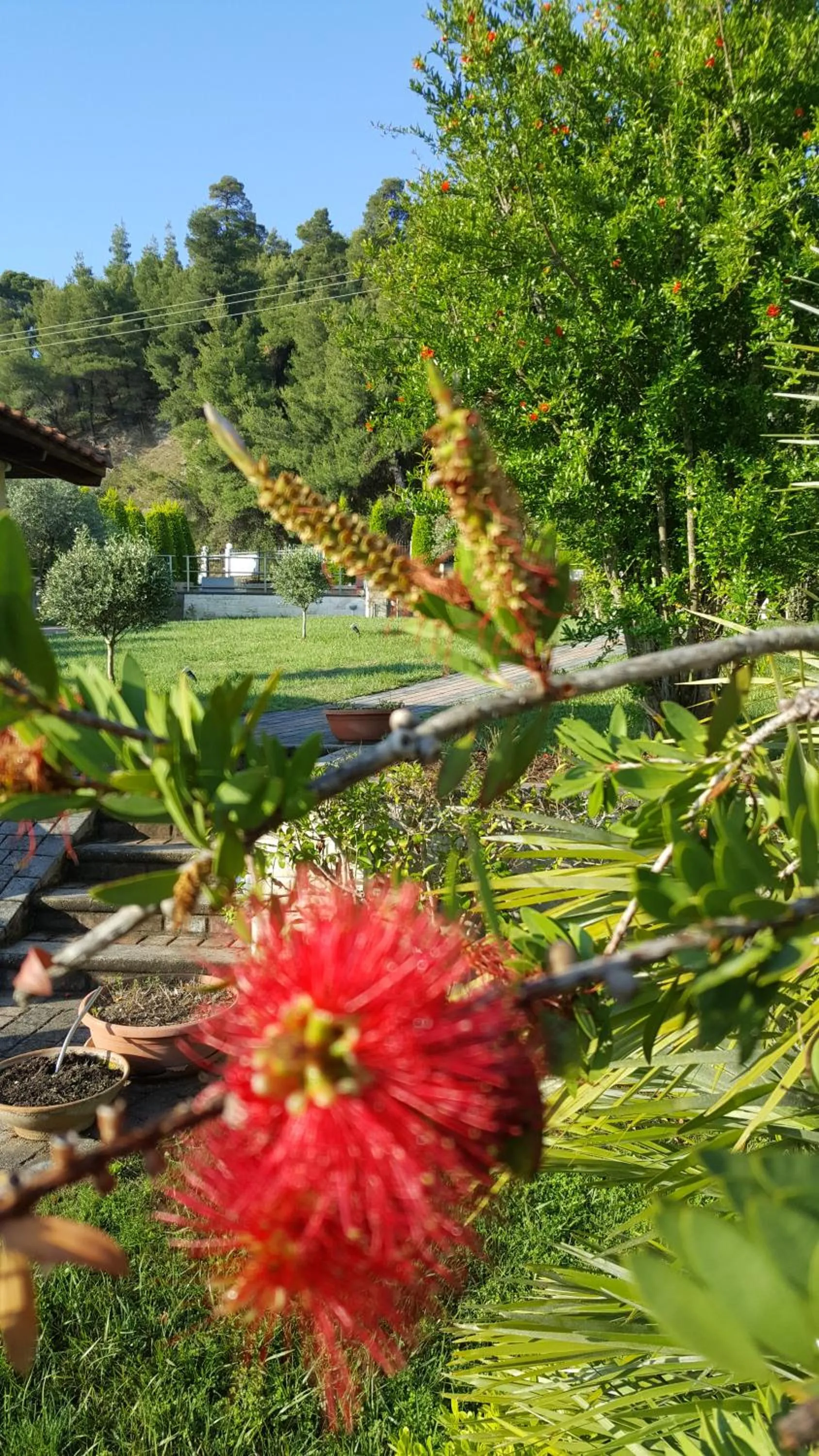 SUN RESIDENCE Exclusive Seaside Suites