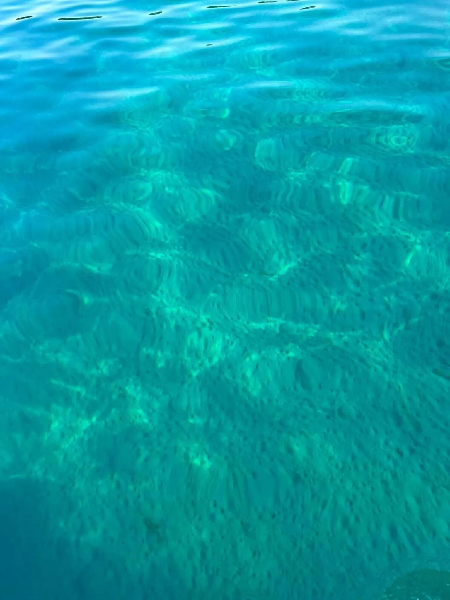 SUN RESIDENCE Exclusive Seaside Suites