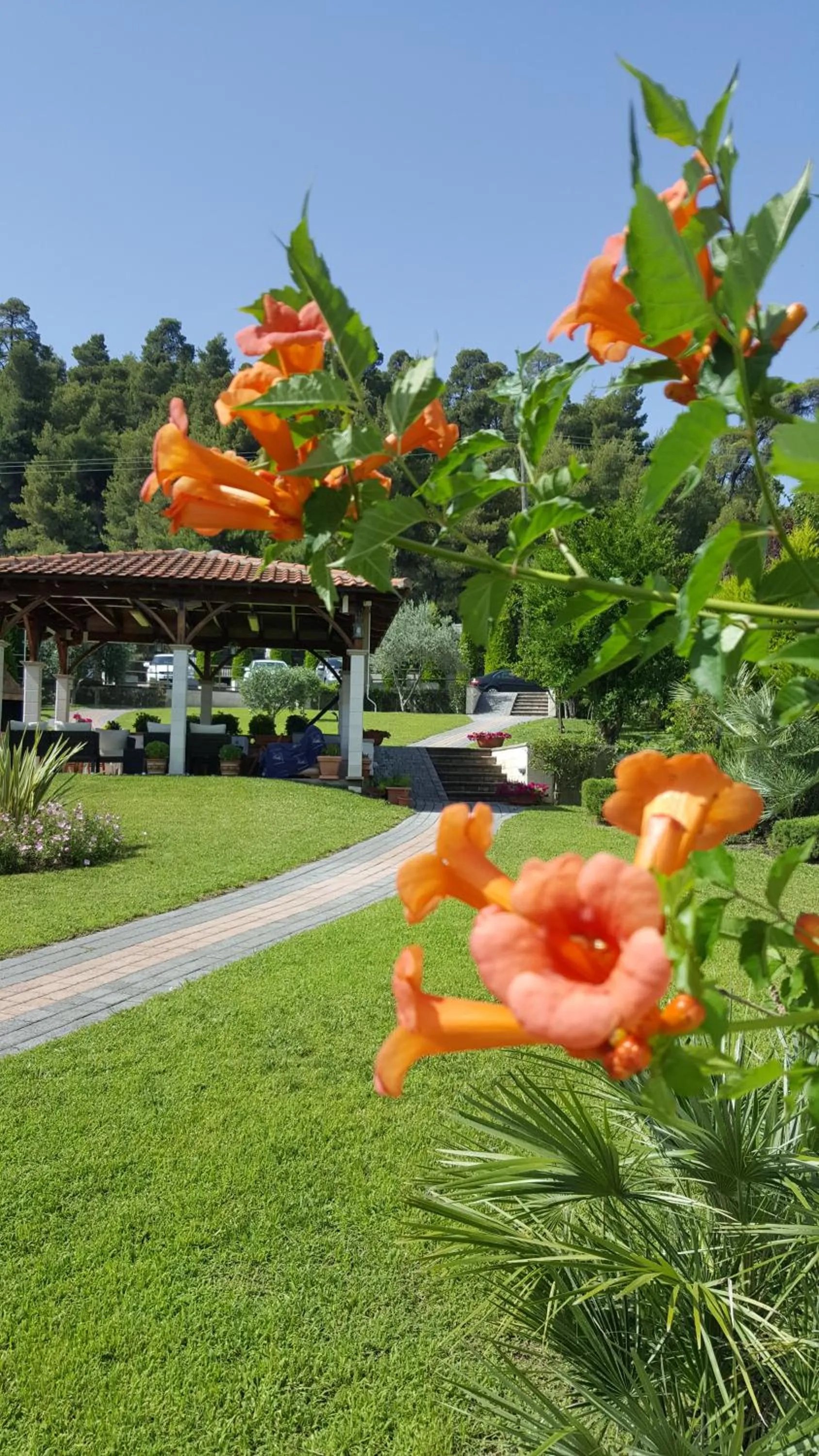 Garden in SUN RESIDENCE Exclusive Seaside Suites