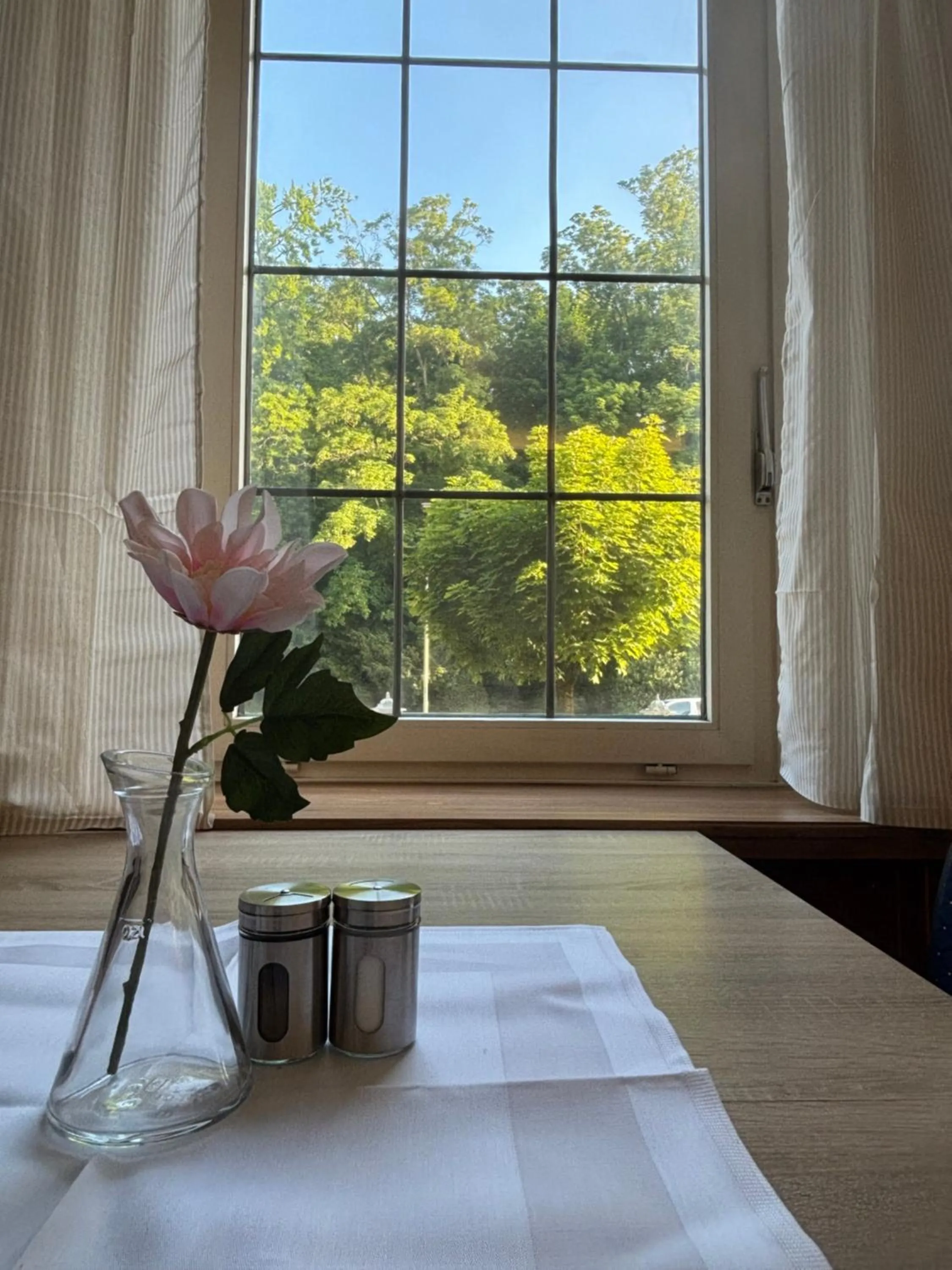 View (from property/room) in Hotel Breuer