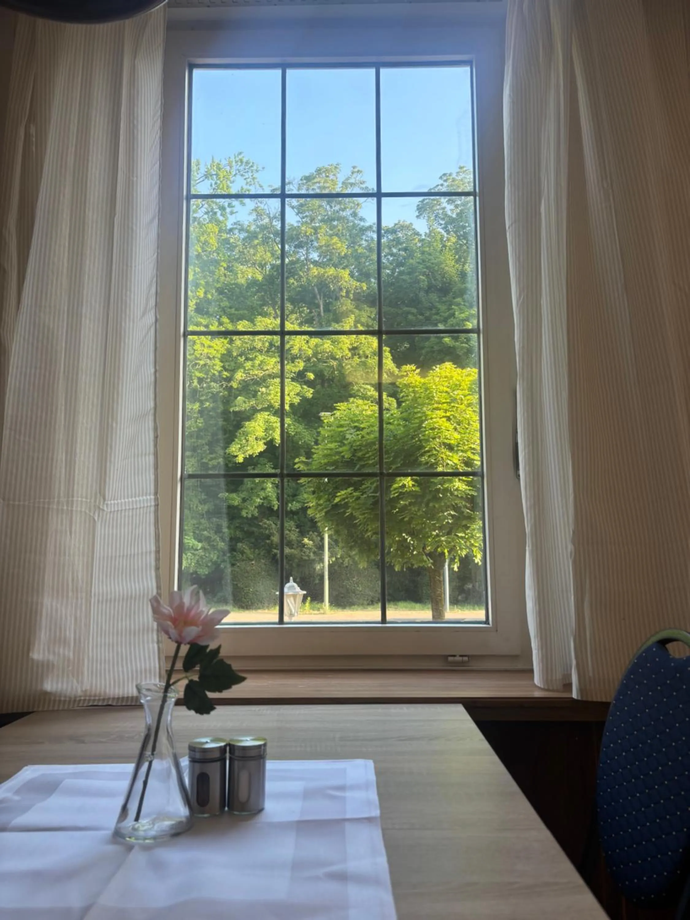 View (from property/room) in Hotel Breuer