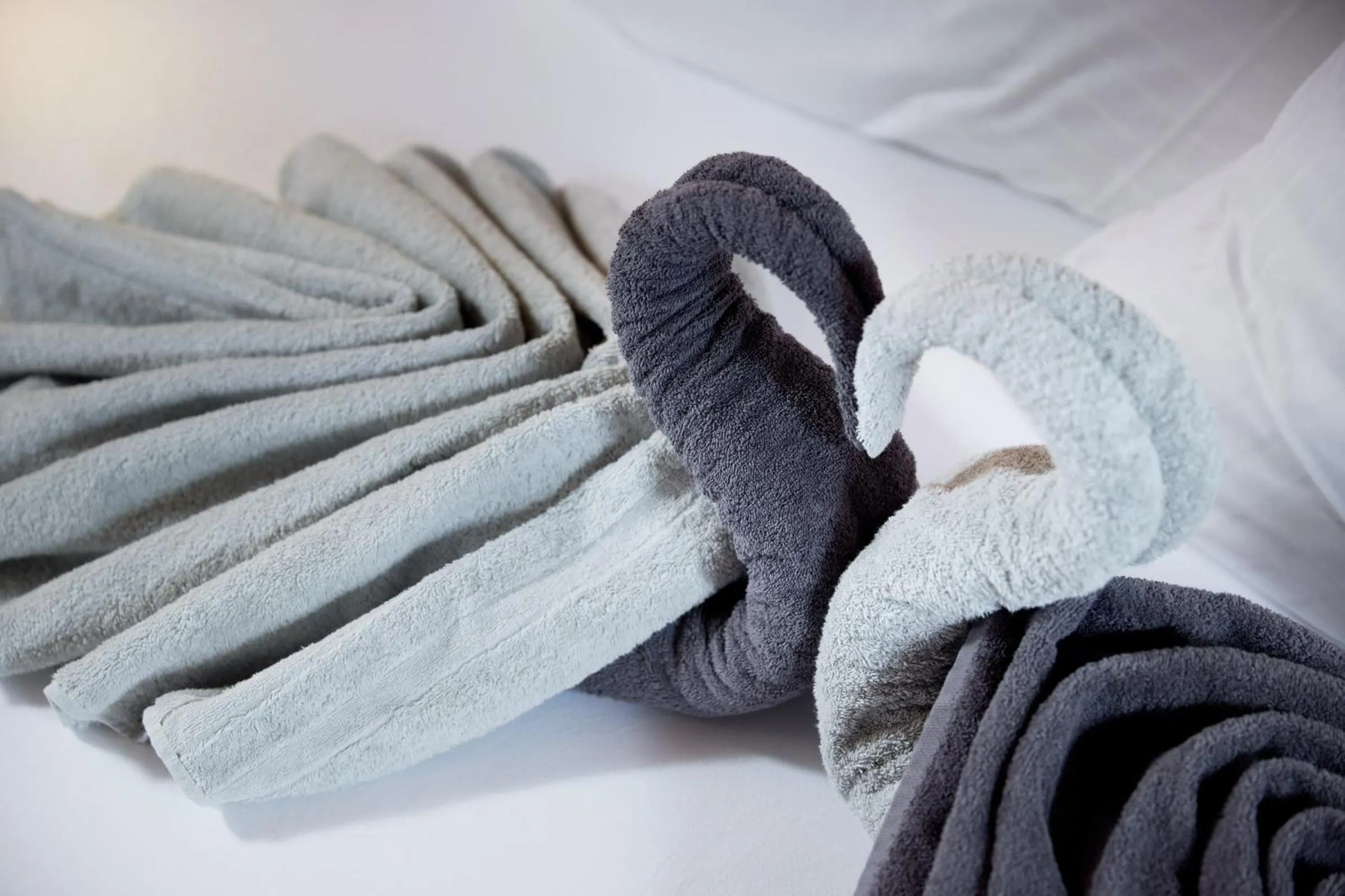 Bed in Maximilian Appartements