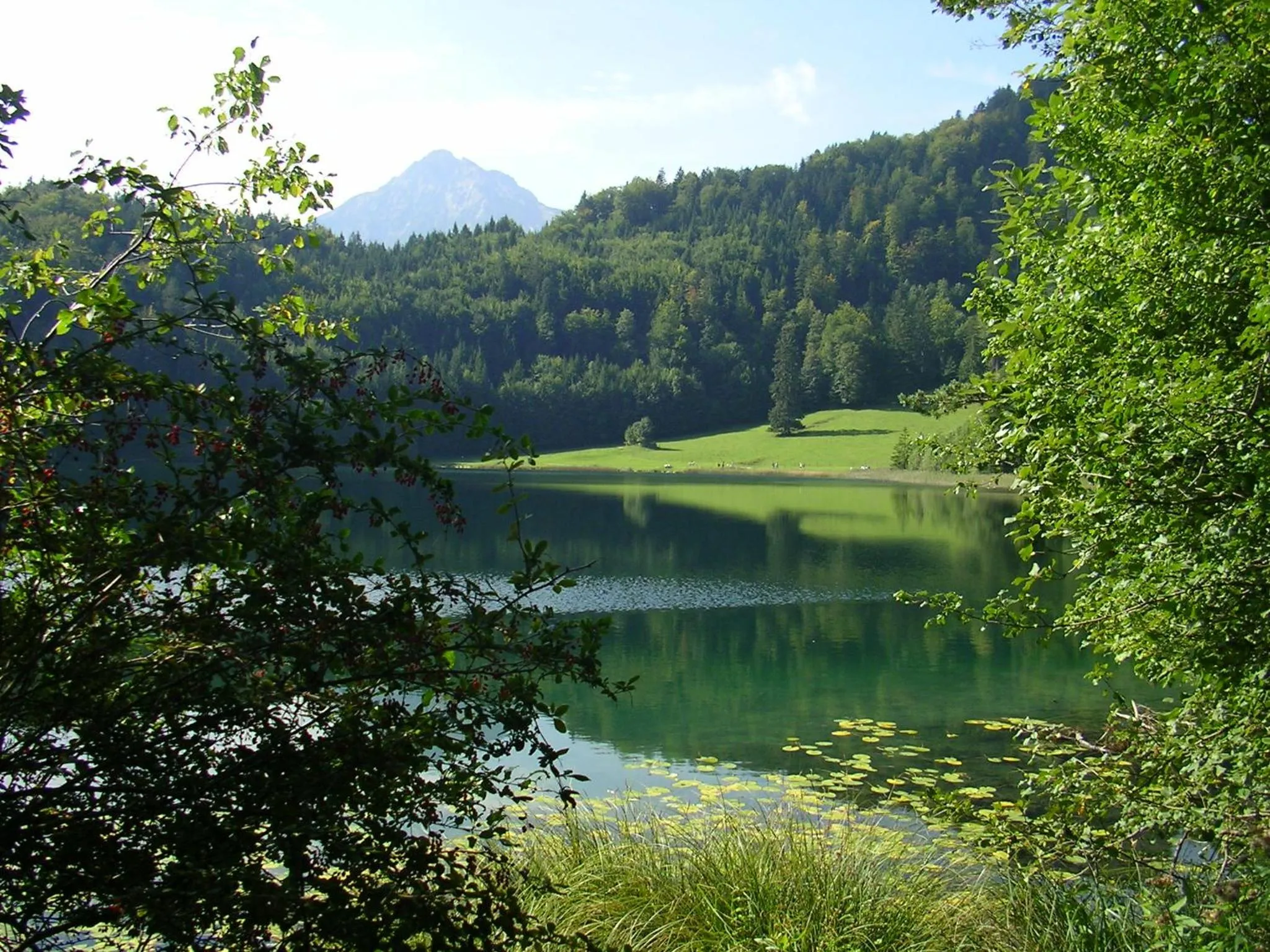 Nearby landmark in Maximilian Appartements