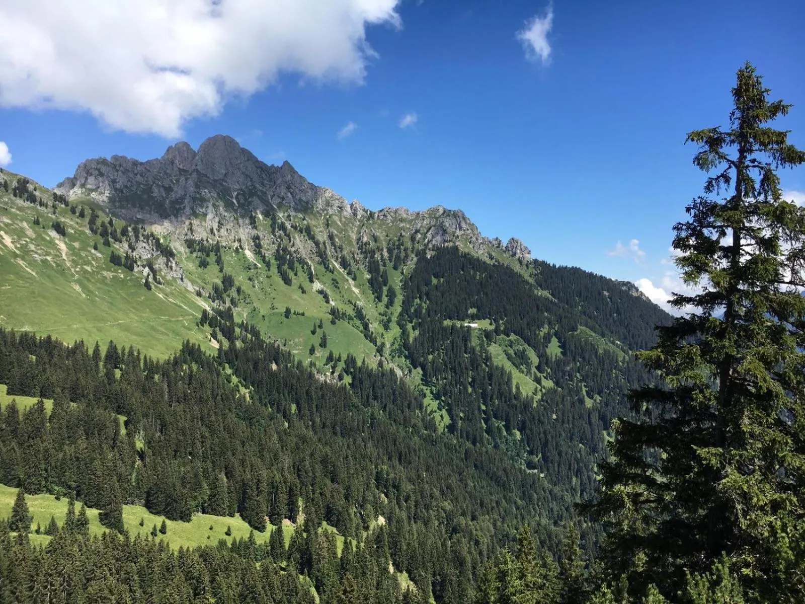 Hiking in Maximilian Appartements