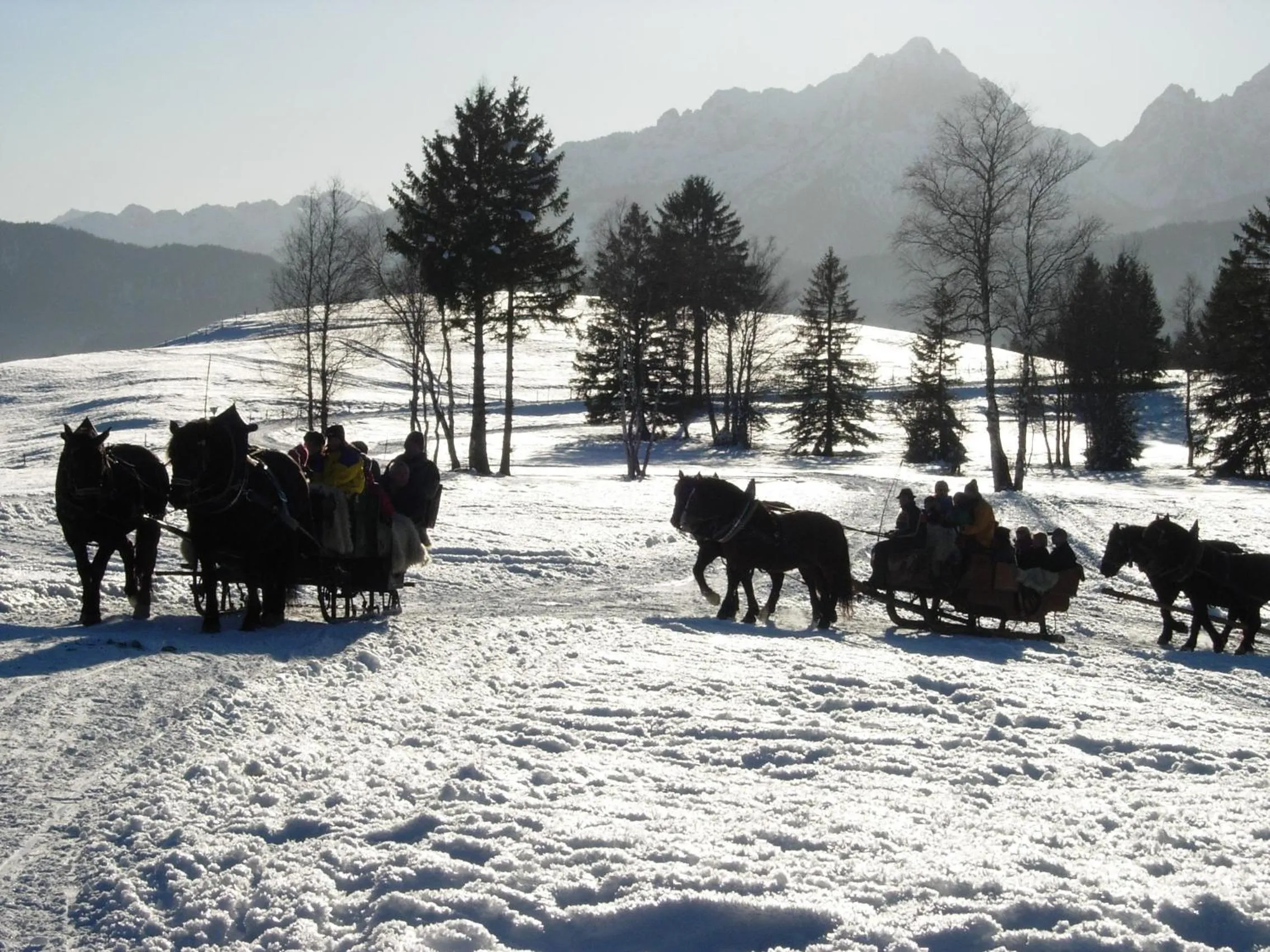 Natural landscape in Maximilian Appartements