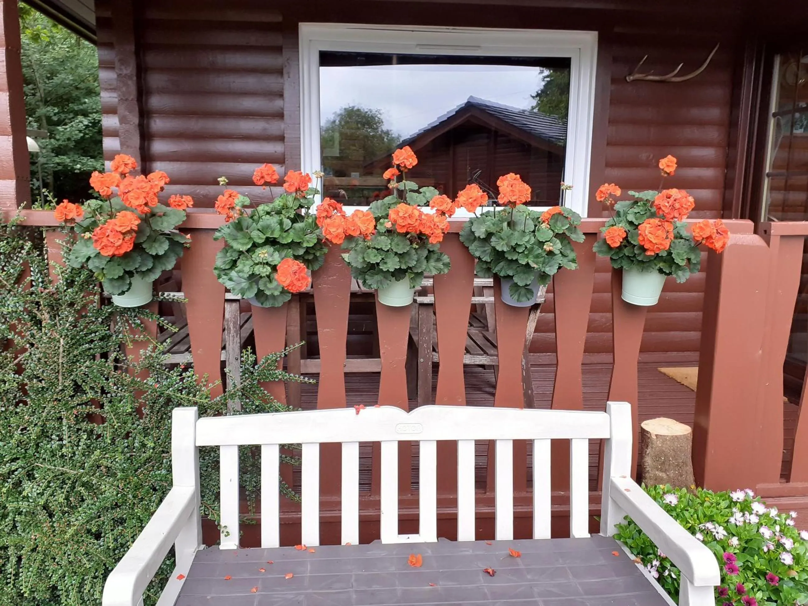 Ard Darach Lodge