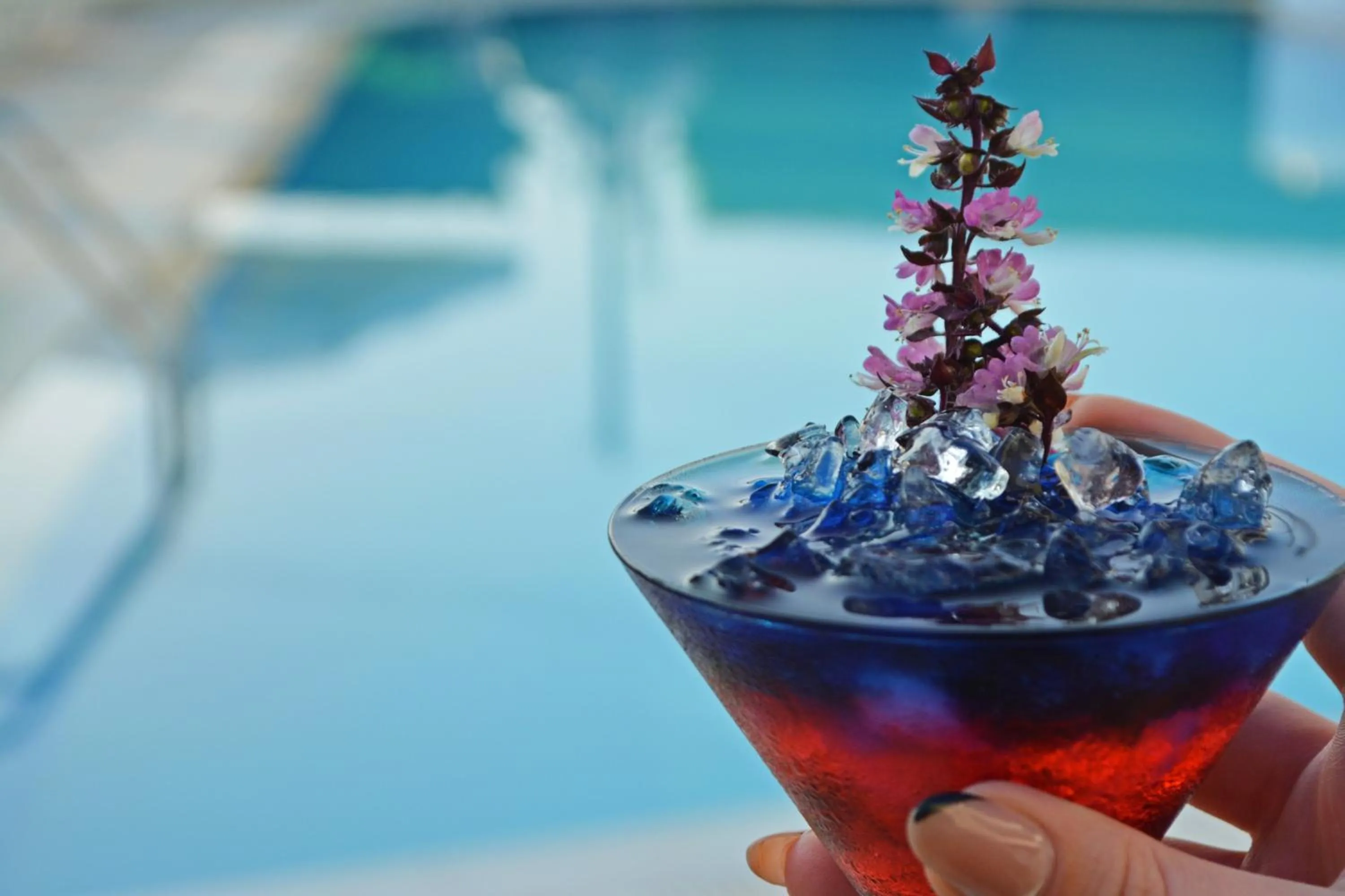 Lounge or bar in Angela Suites Boutique Hotel