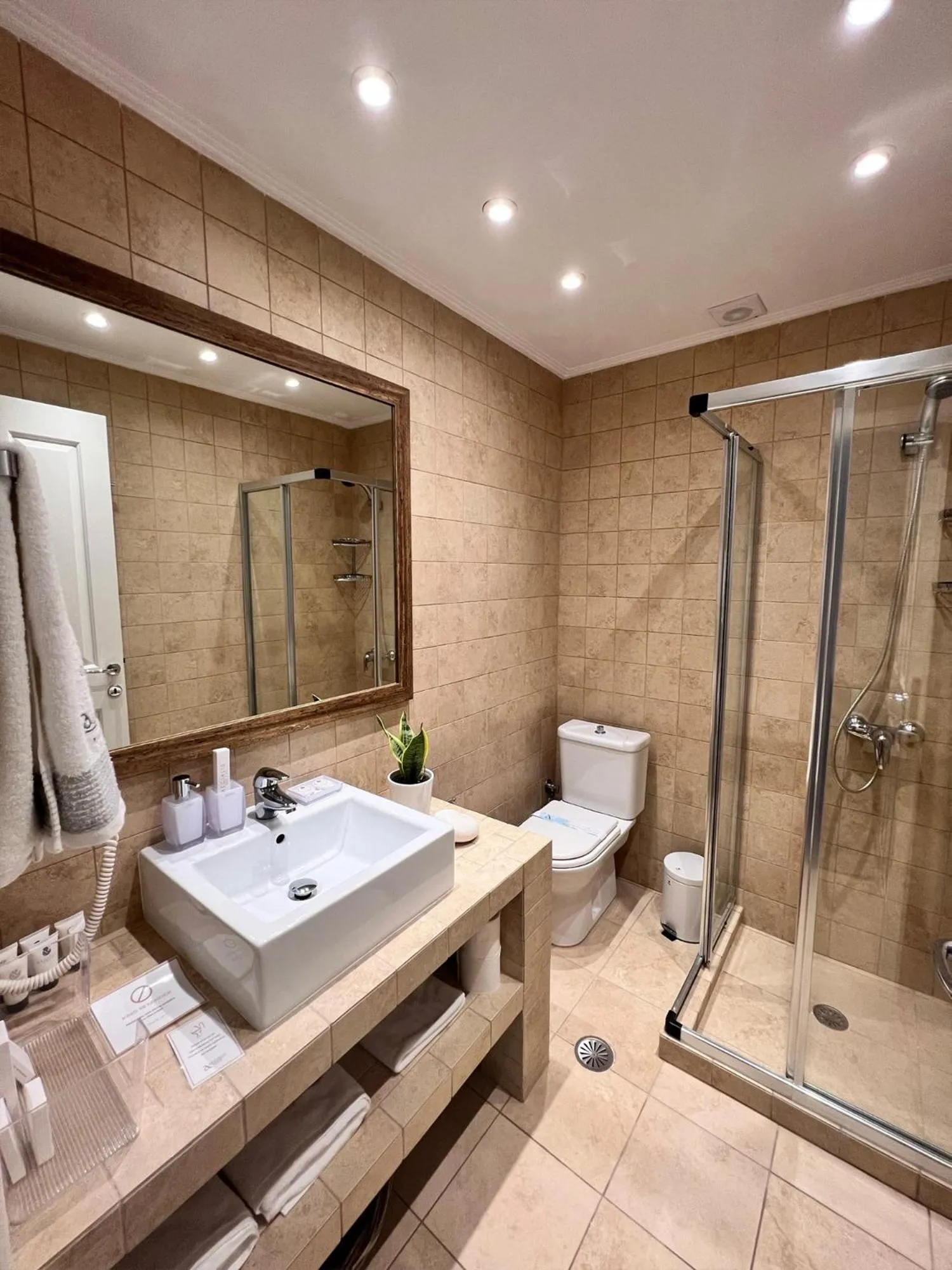 Aegialis Hotel & Spa