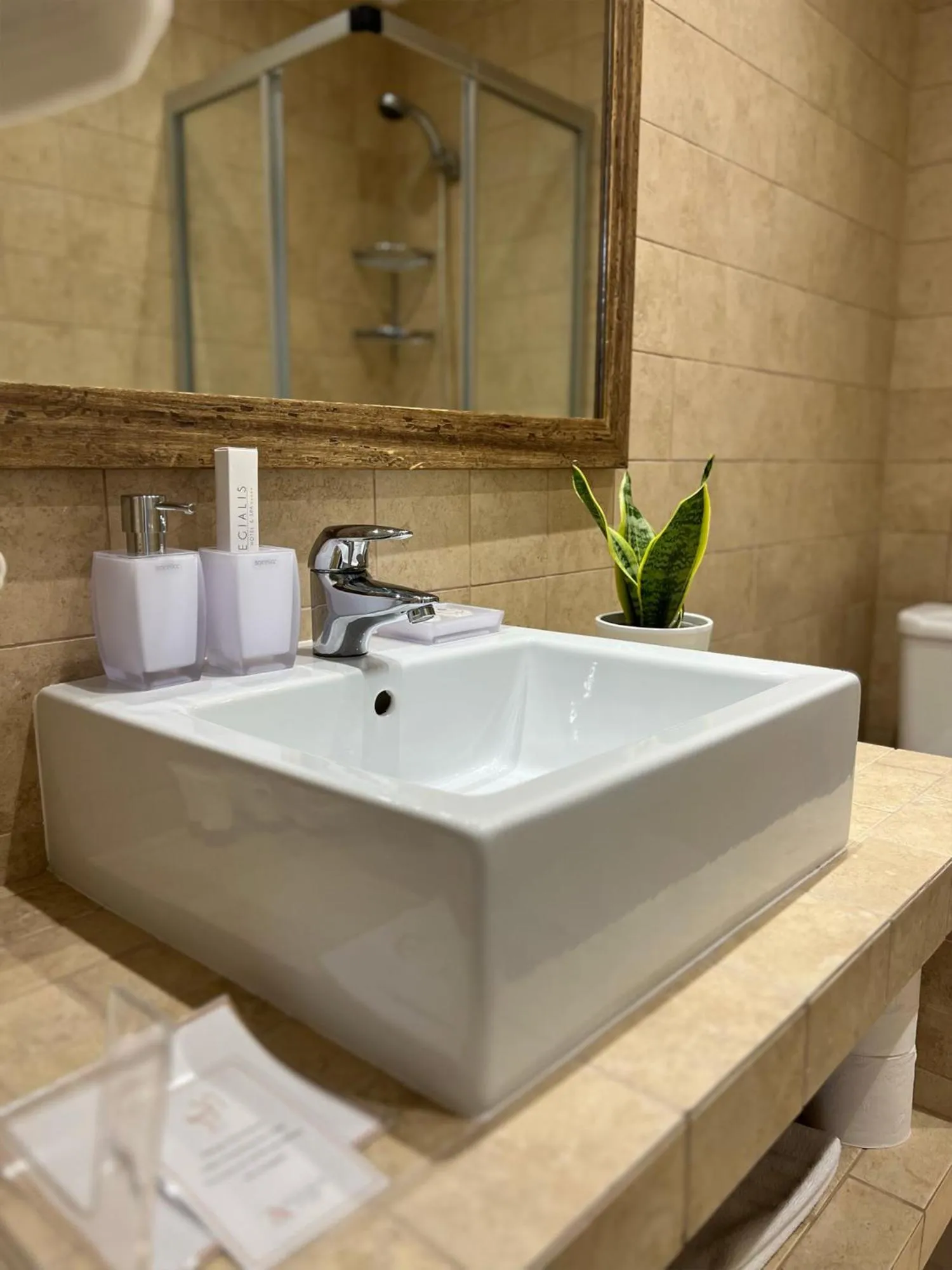 Aegialis Hotel & Spa