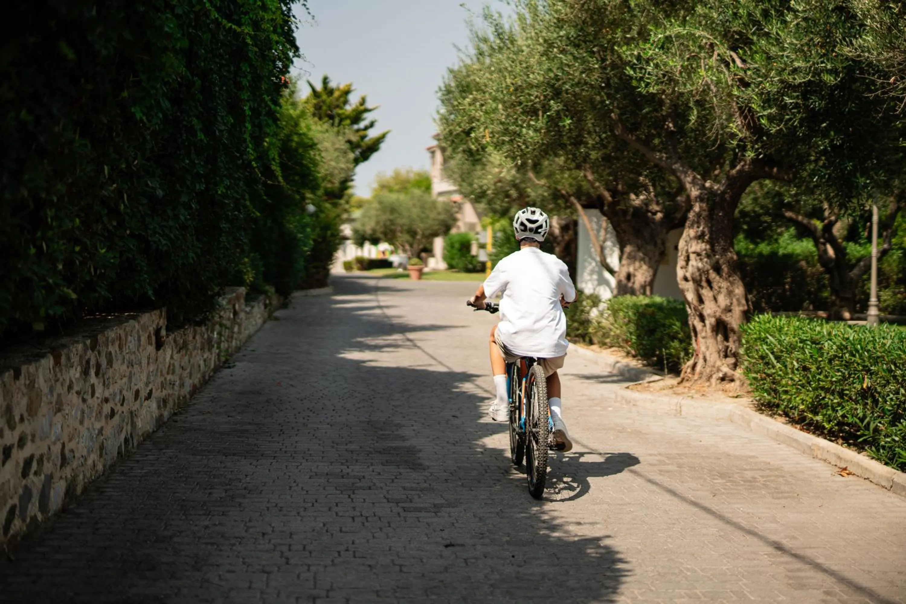 Activities in Acrotel Athena Pallas & Residence