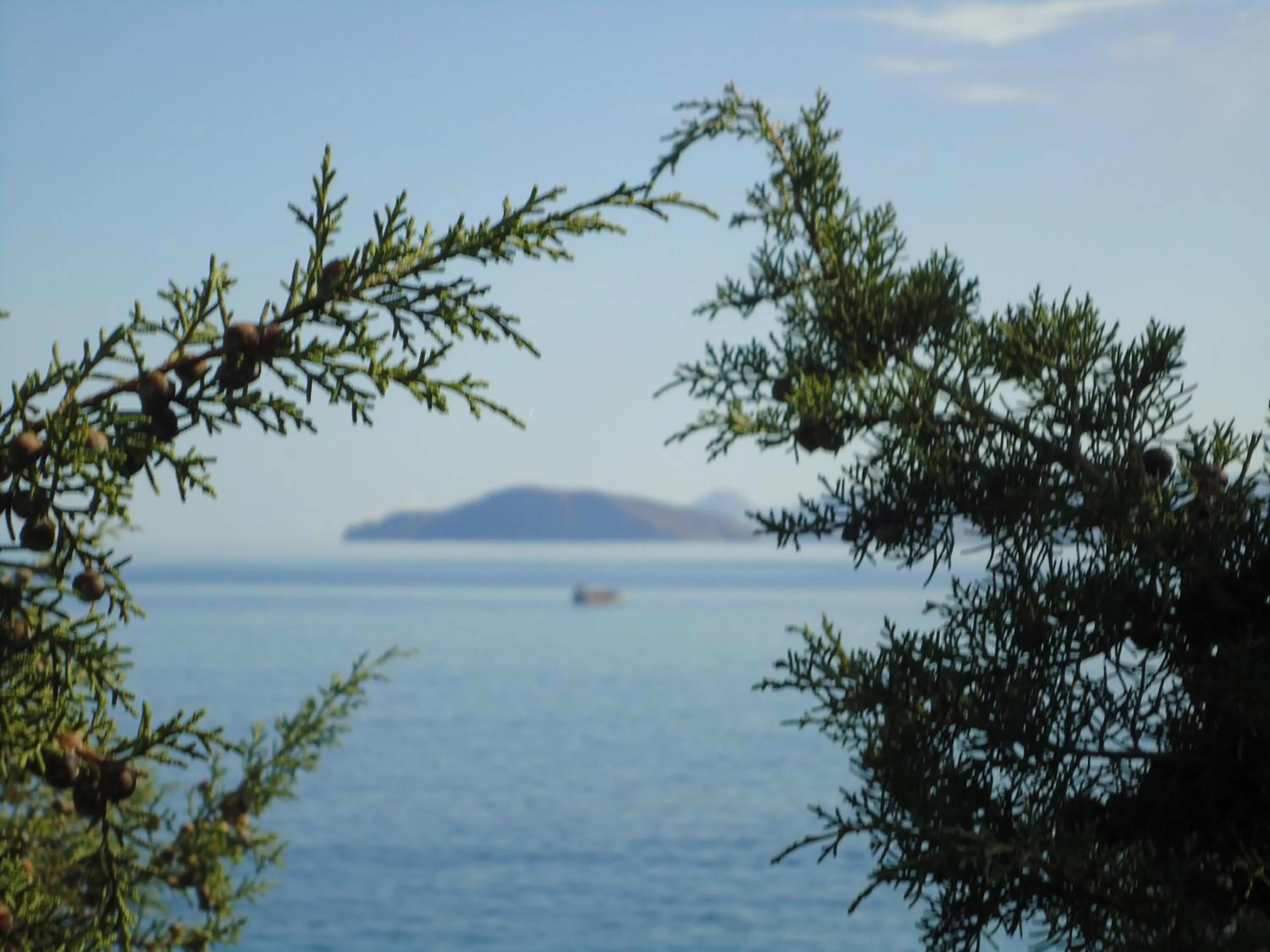 View (from property/room) in Vangelis Villas