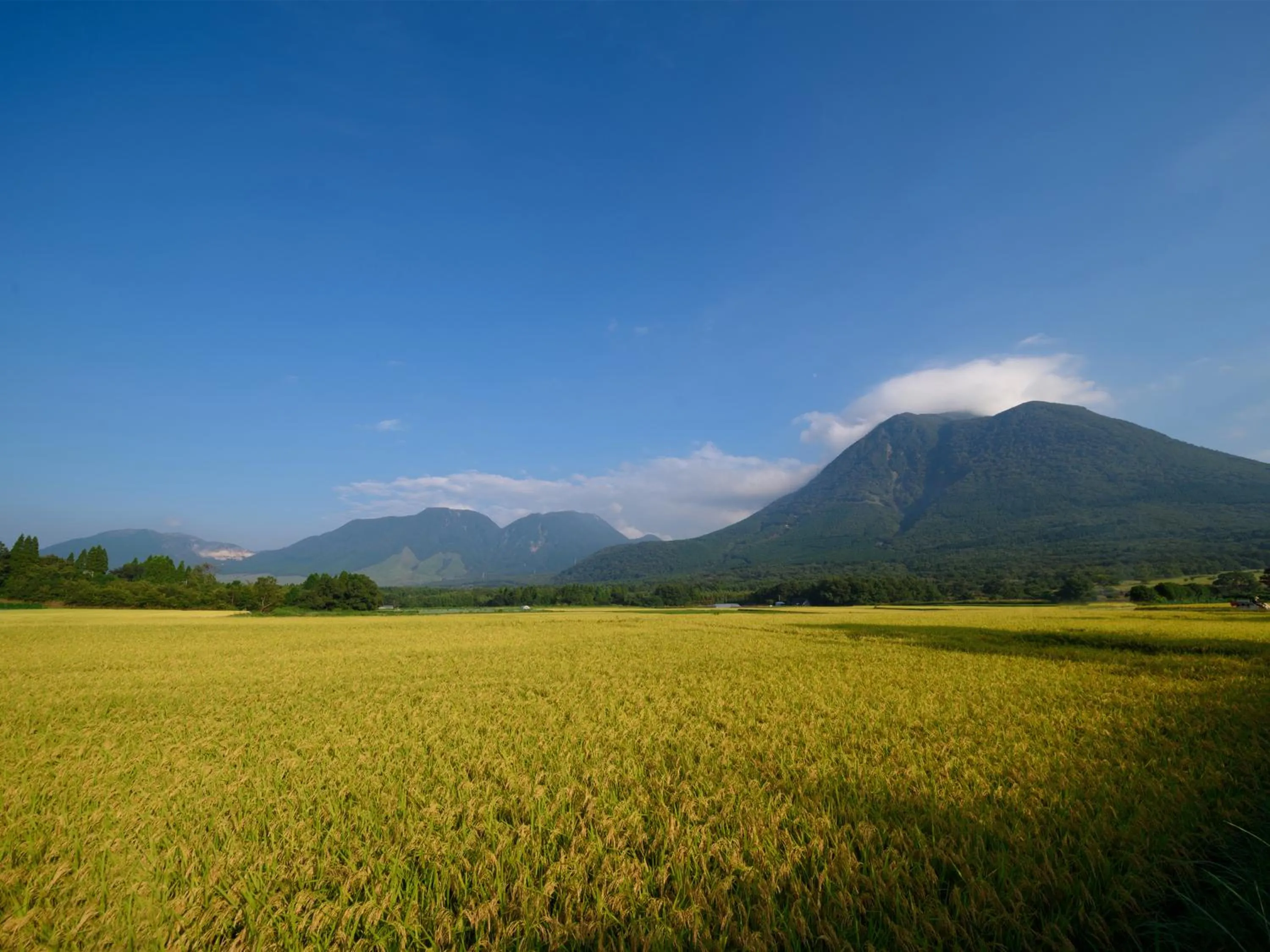 Natural landscape in The Sense of Wonder Holistic Glamping