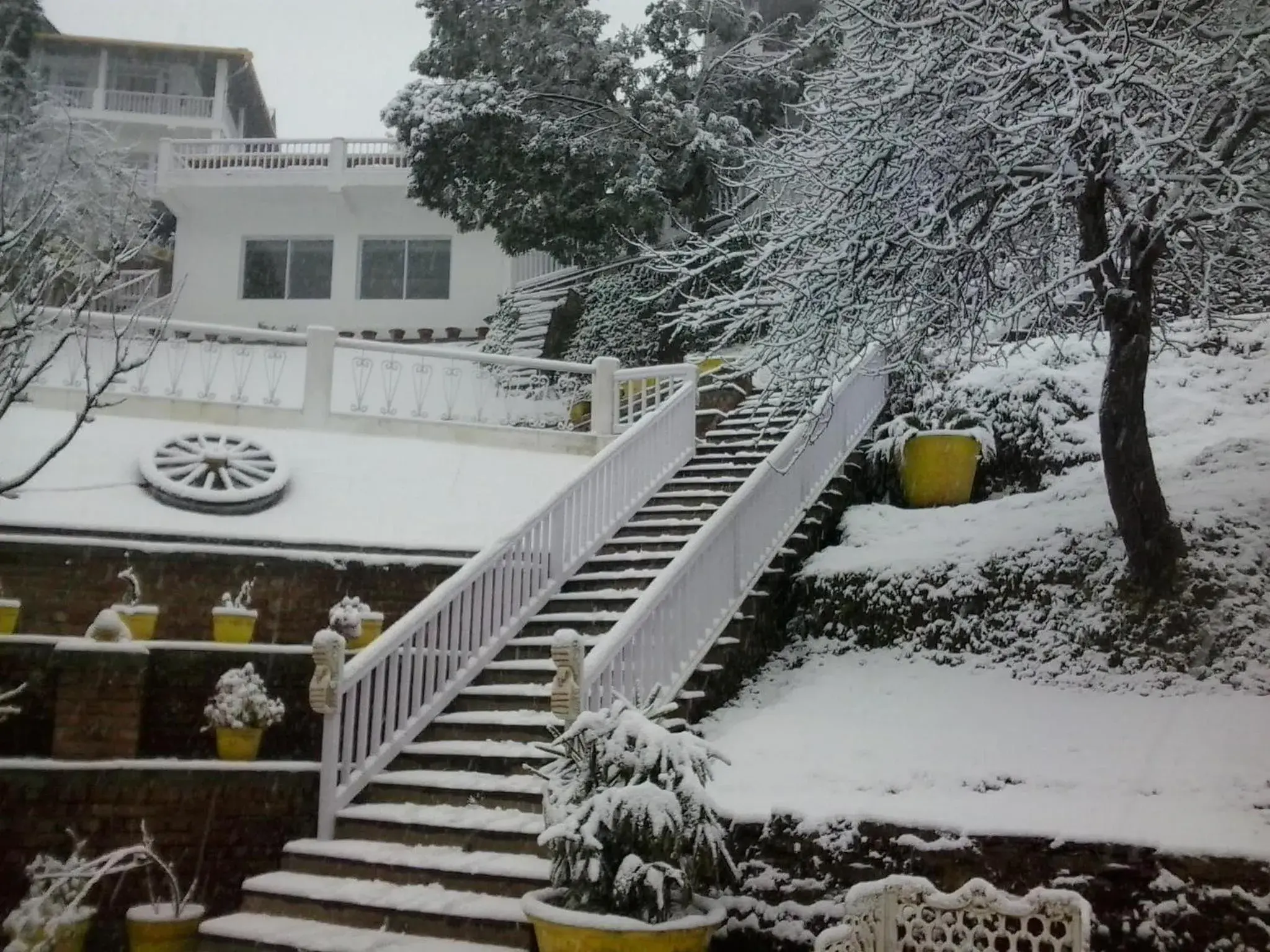 Property building in Te Aroha By Shervani Property building in Te Aroha By Shervani