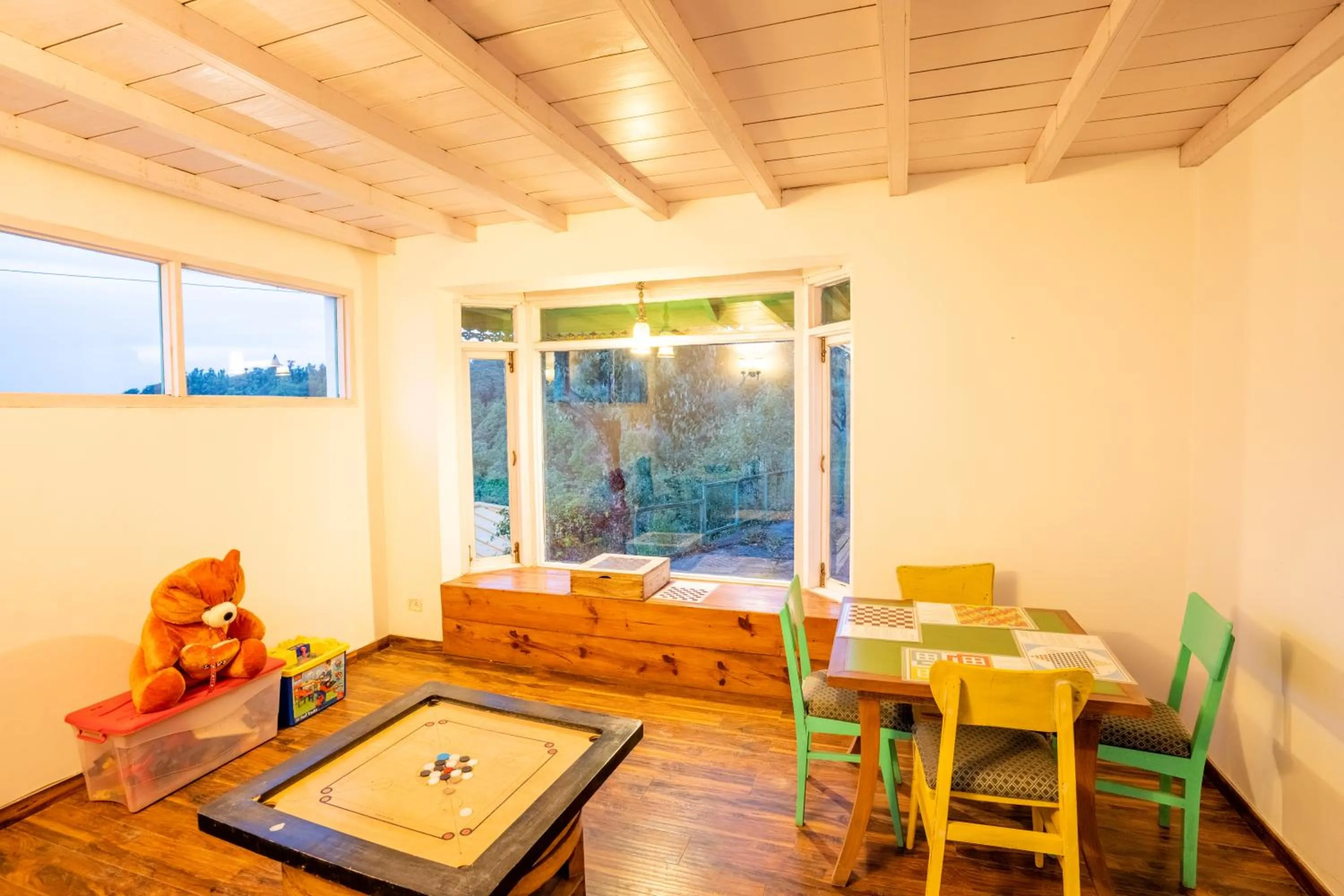 Activities in Te Aroha By Shervani