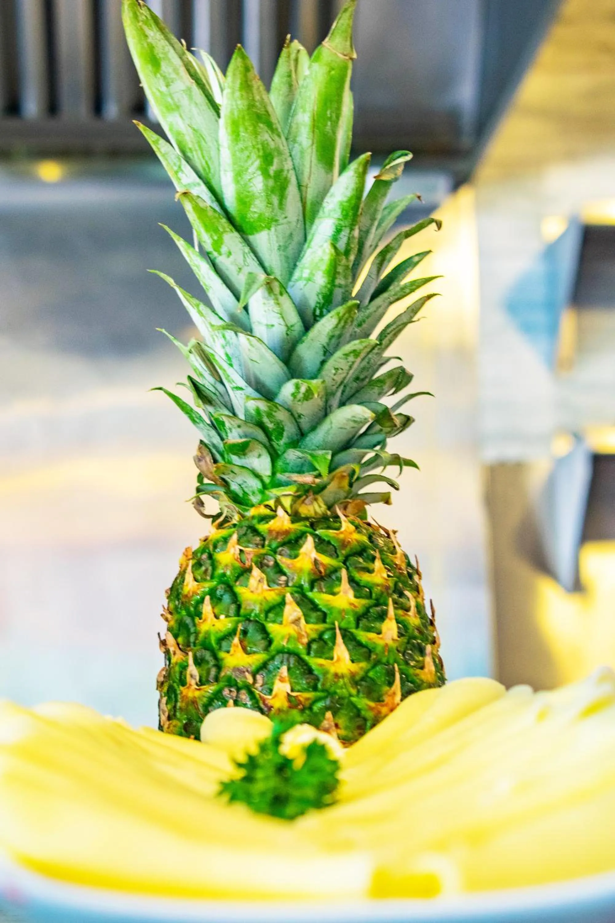 Breakfast in Playa Palmera Beach Resort