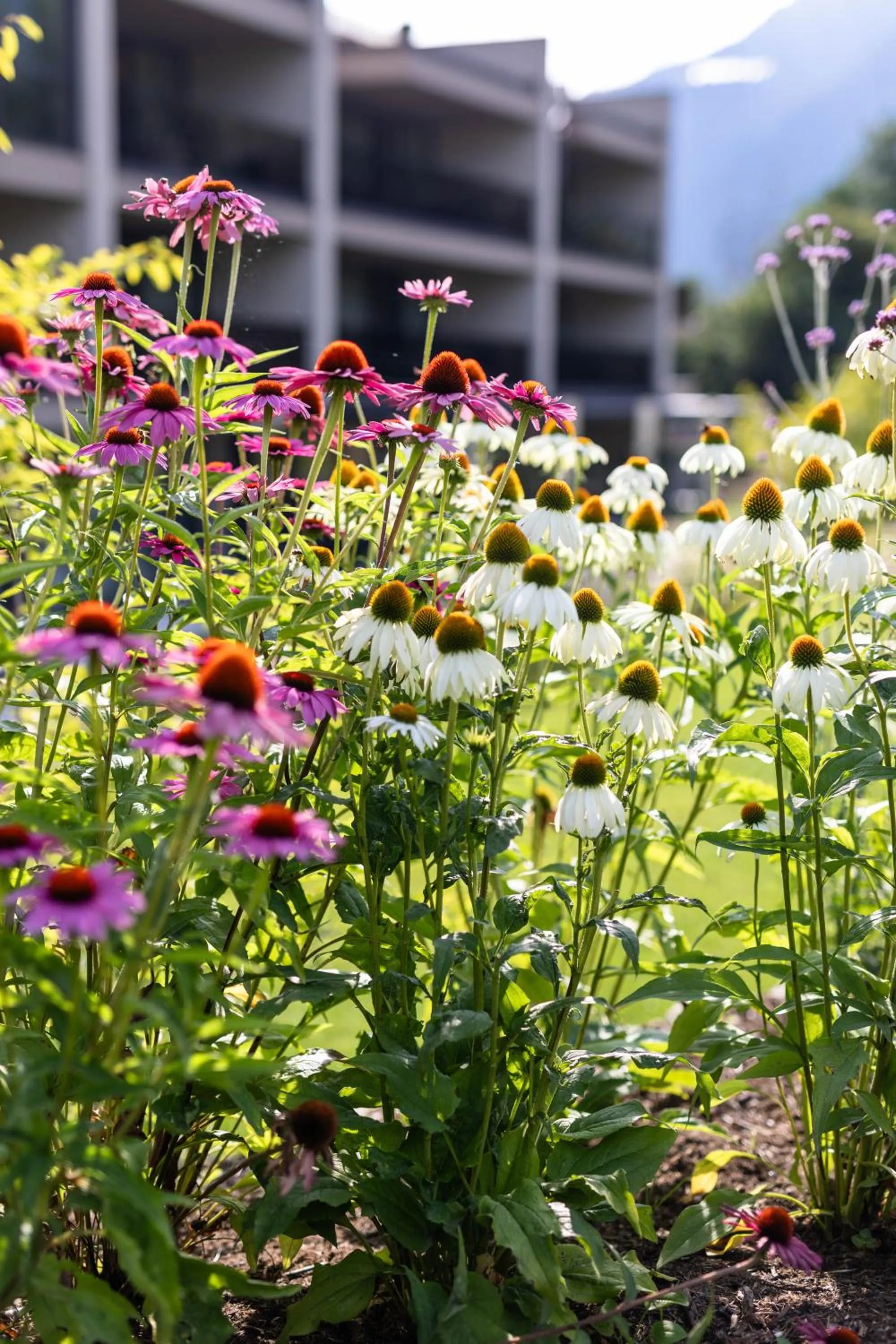 Boutique Hotel AMARIL