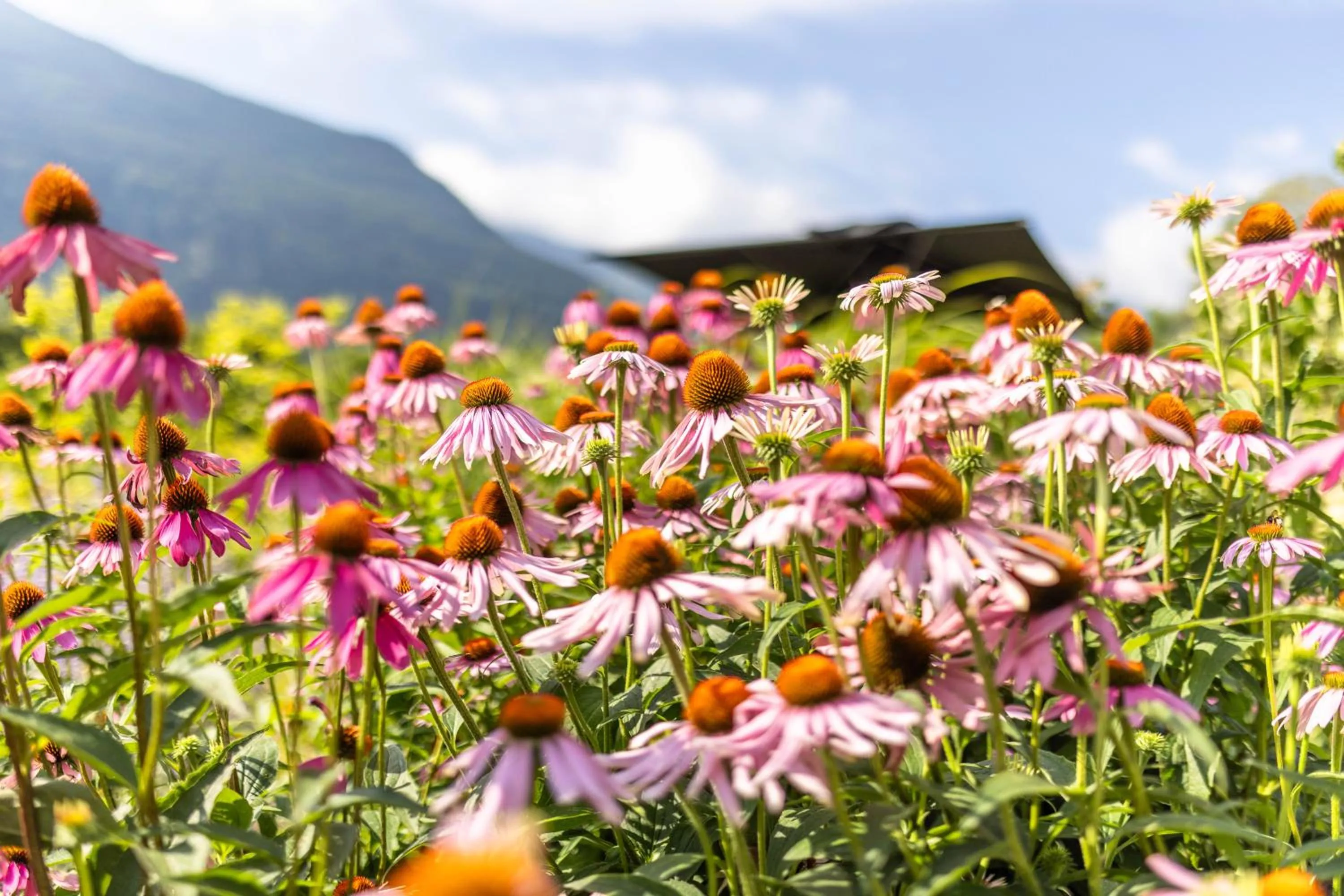 Boutique Hotel AMARIL