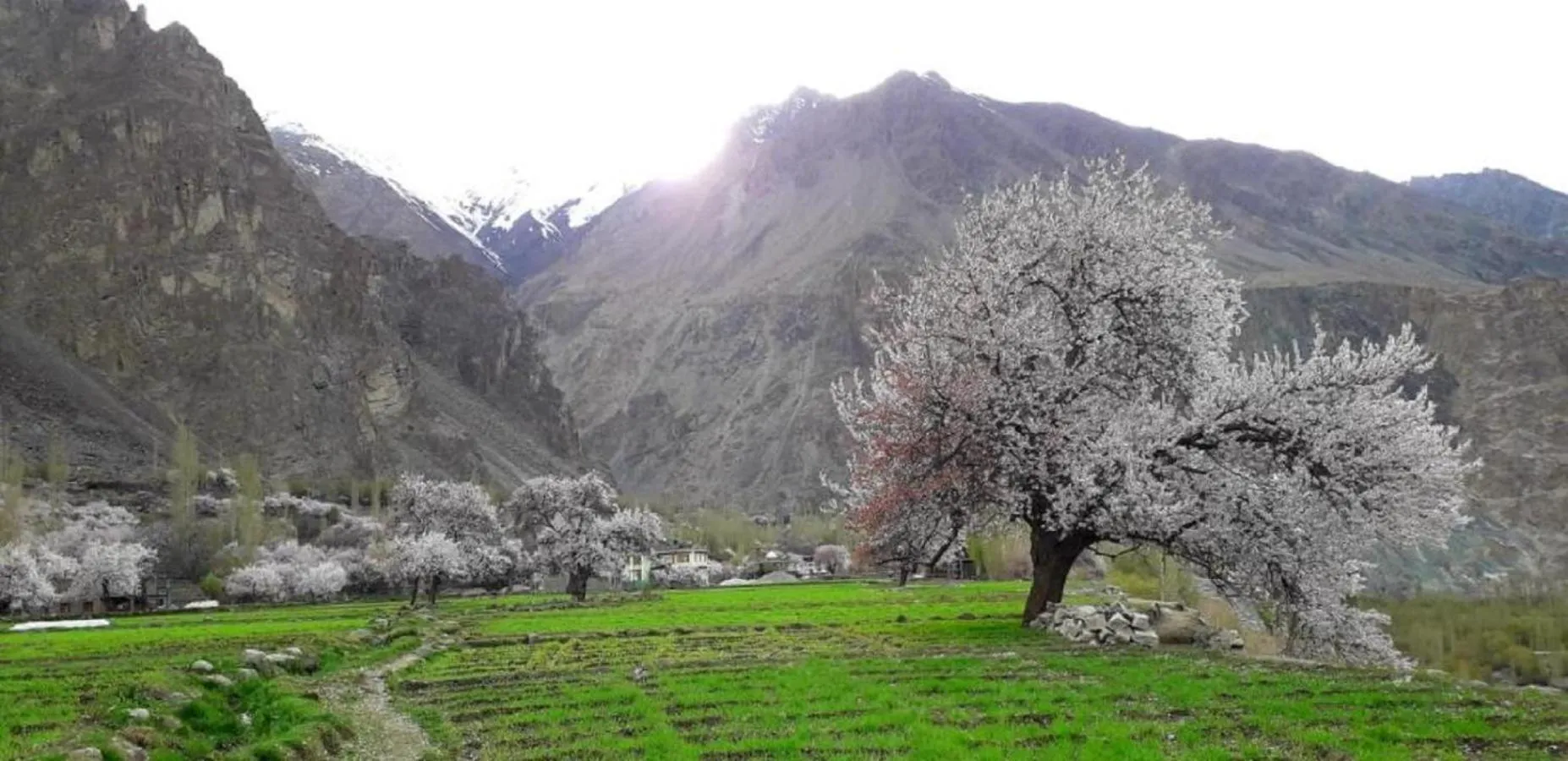 Day in Hotel The Stone Palace-Turtuk