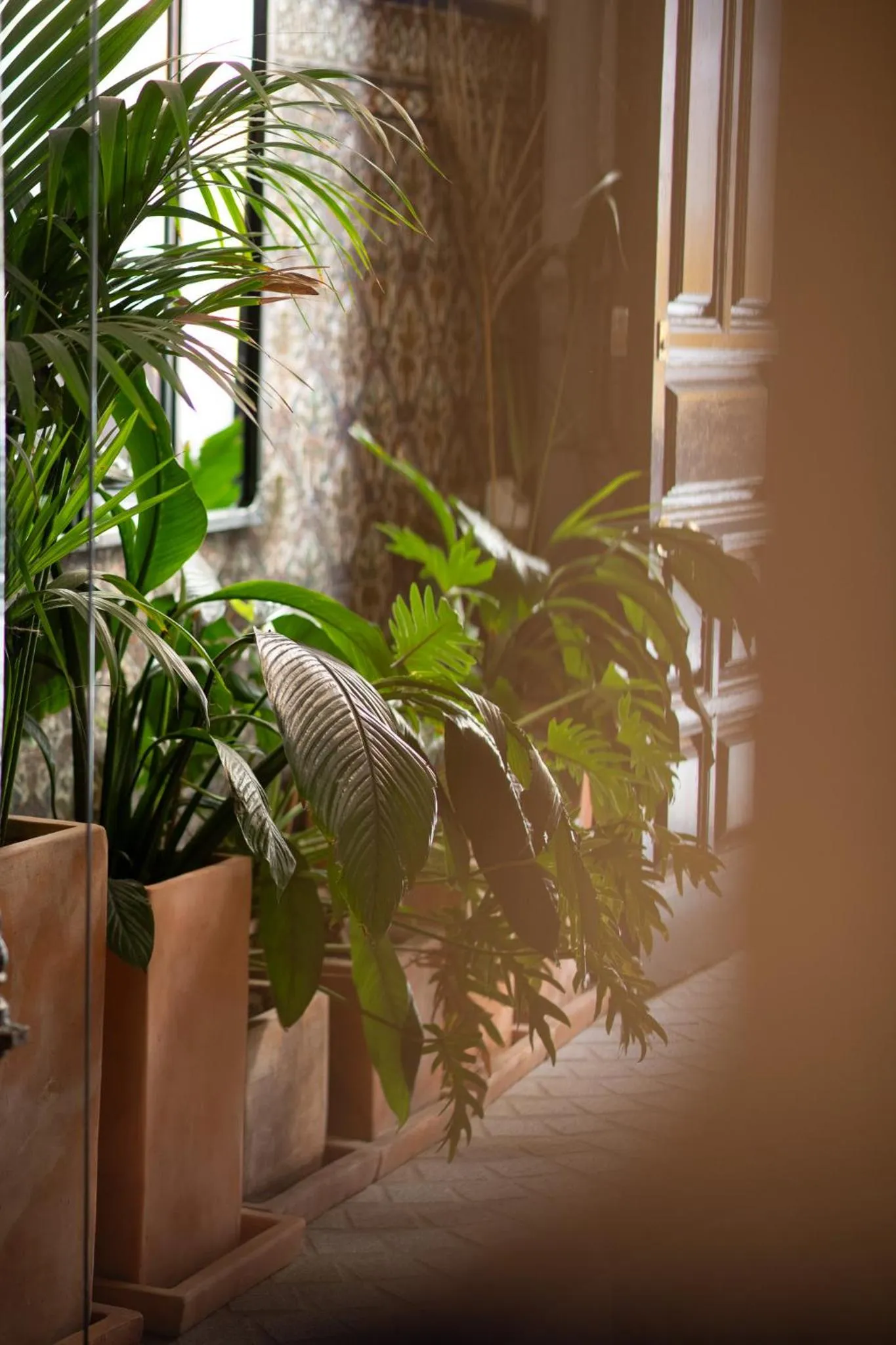 Decorative detail in Honest Sevilla