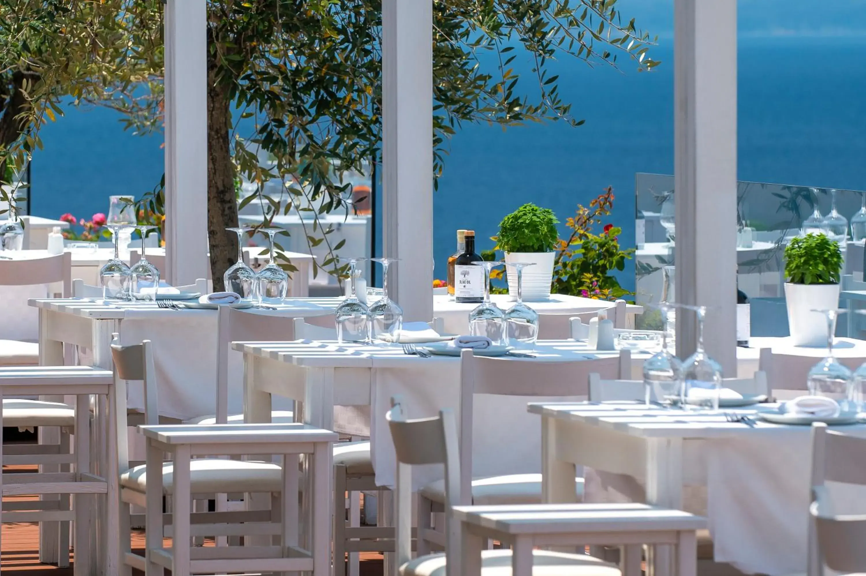 Restaurant/places to eat in Skiathos Palace Hotel Restaurant/places to eat in Skiathos Palace Hotel