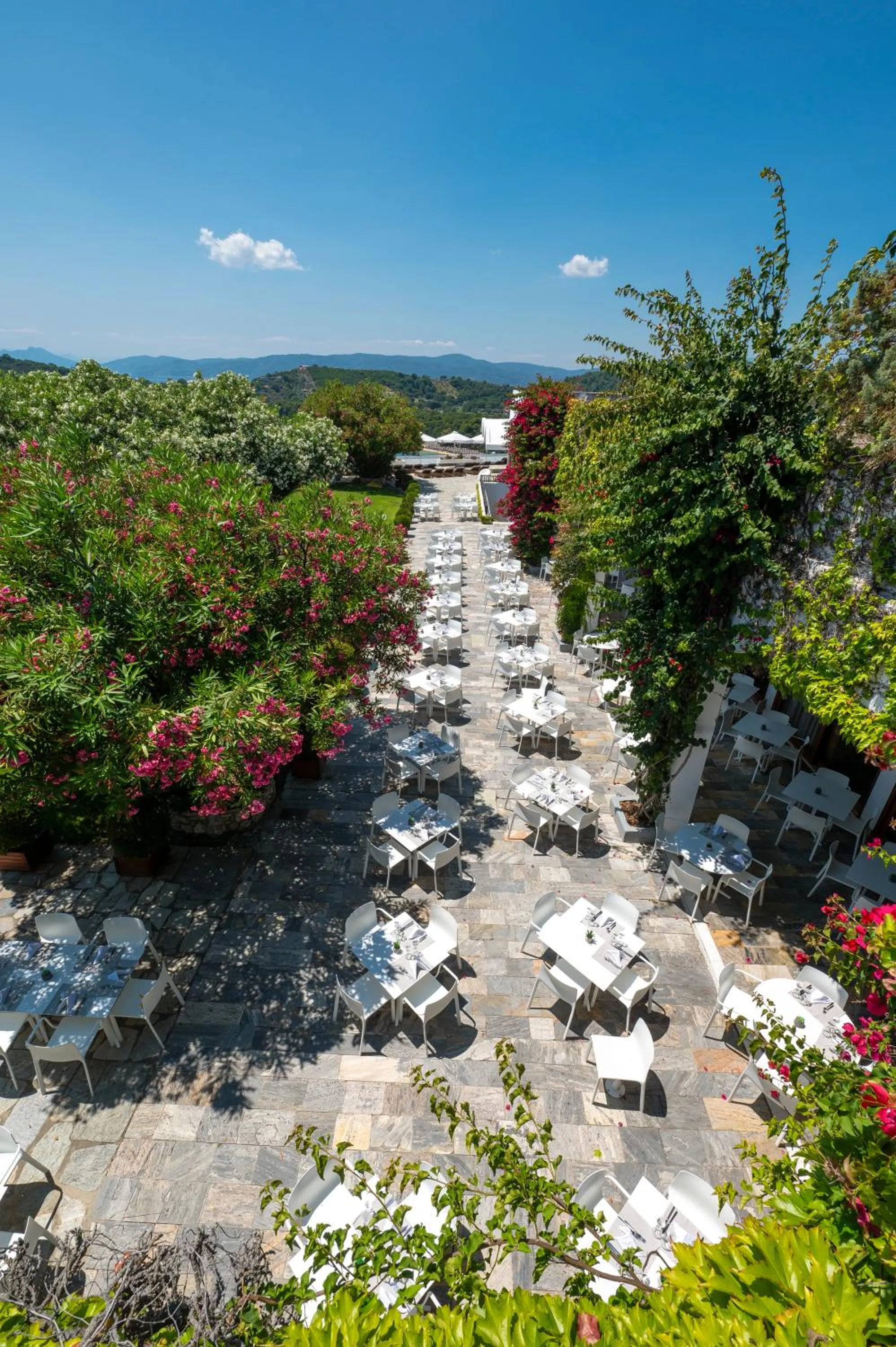 Restaurant/places to eat in Skiathos Palace Hotel