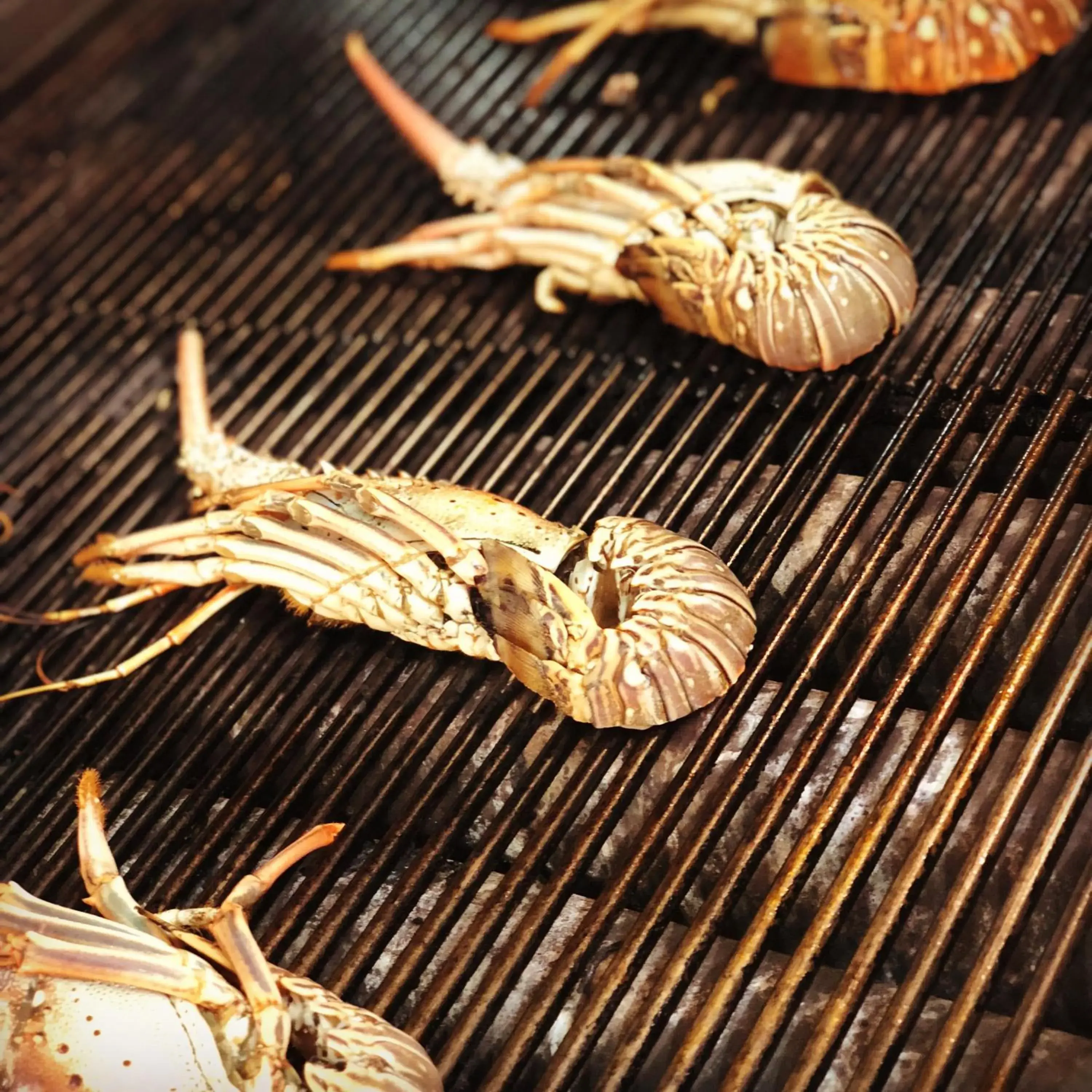 Restaurant/places to eat in King Saron Hotel Resort Restaurant/places to eat in King Saron Hotel Resort