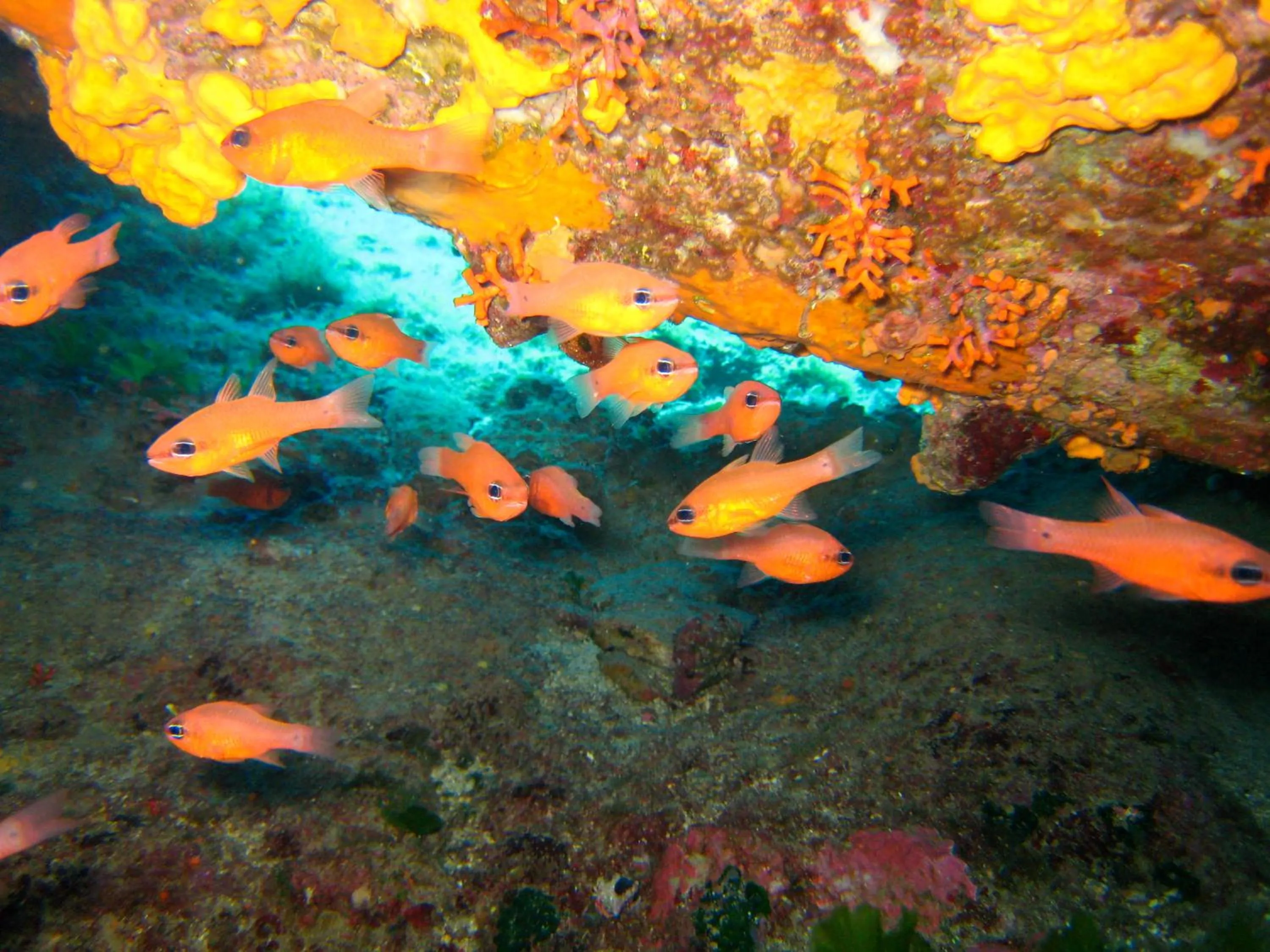 Activities in Nymphes Luxury Apartments