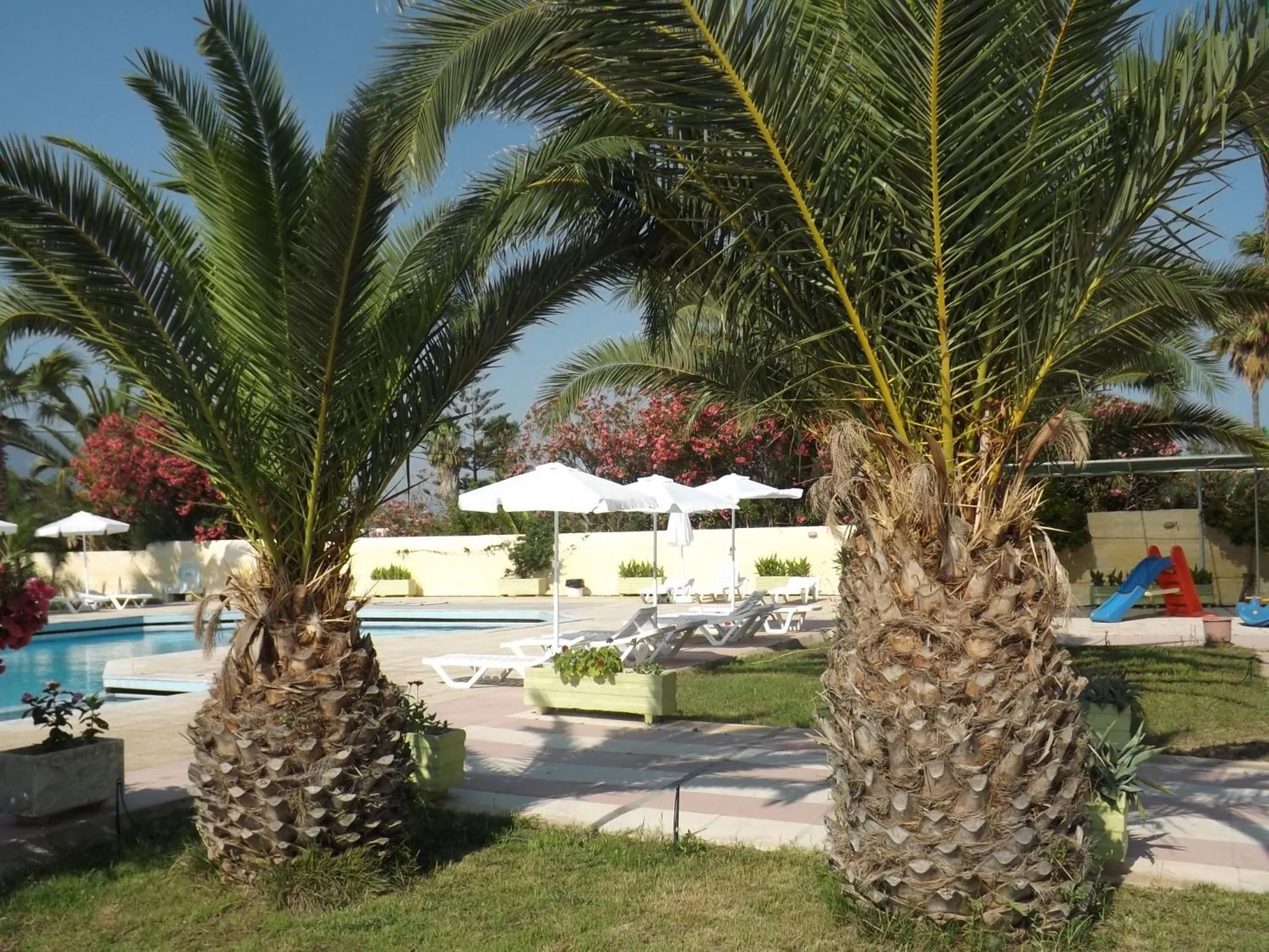 Garden in Leonidas Hotel & Studios