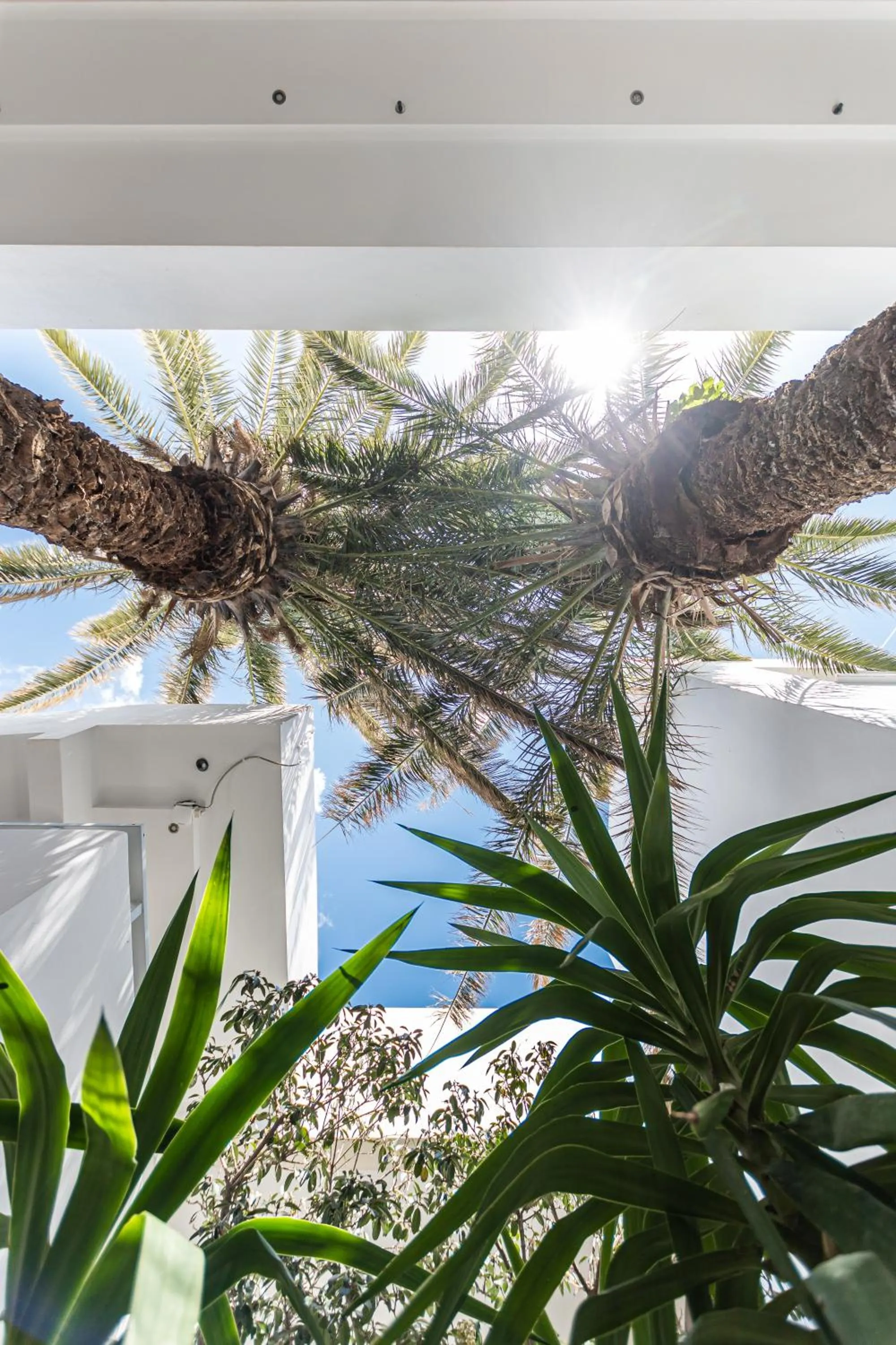 Patio in Anatoli Hotel