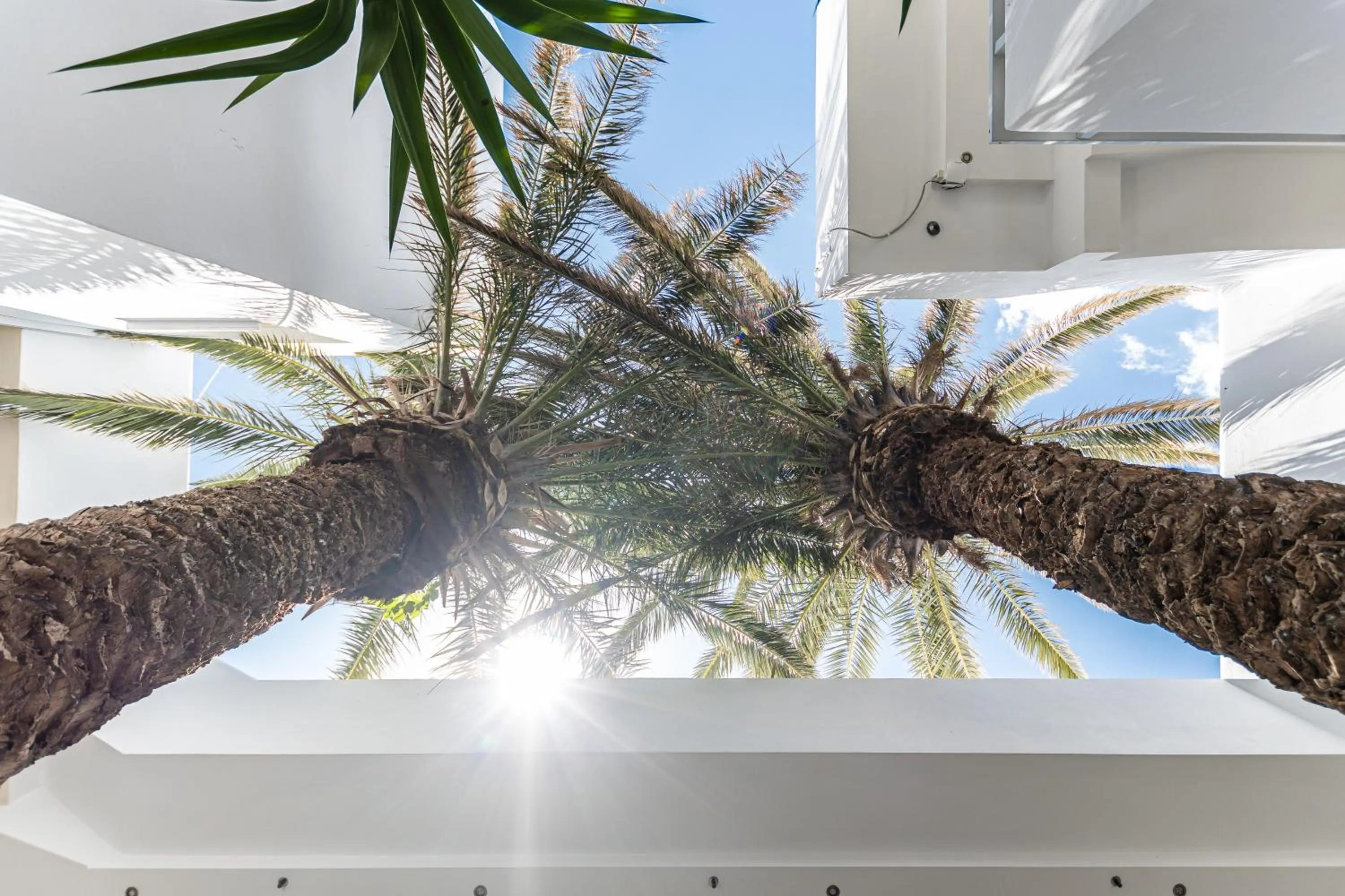 Patio in Anatoli Hotel