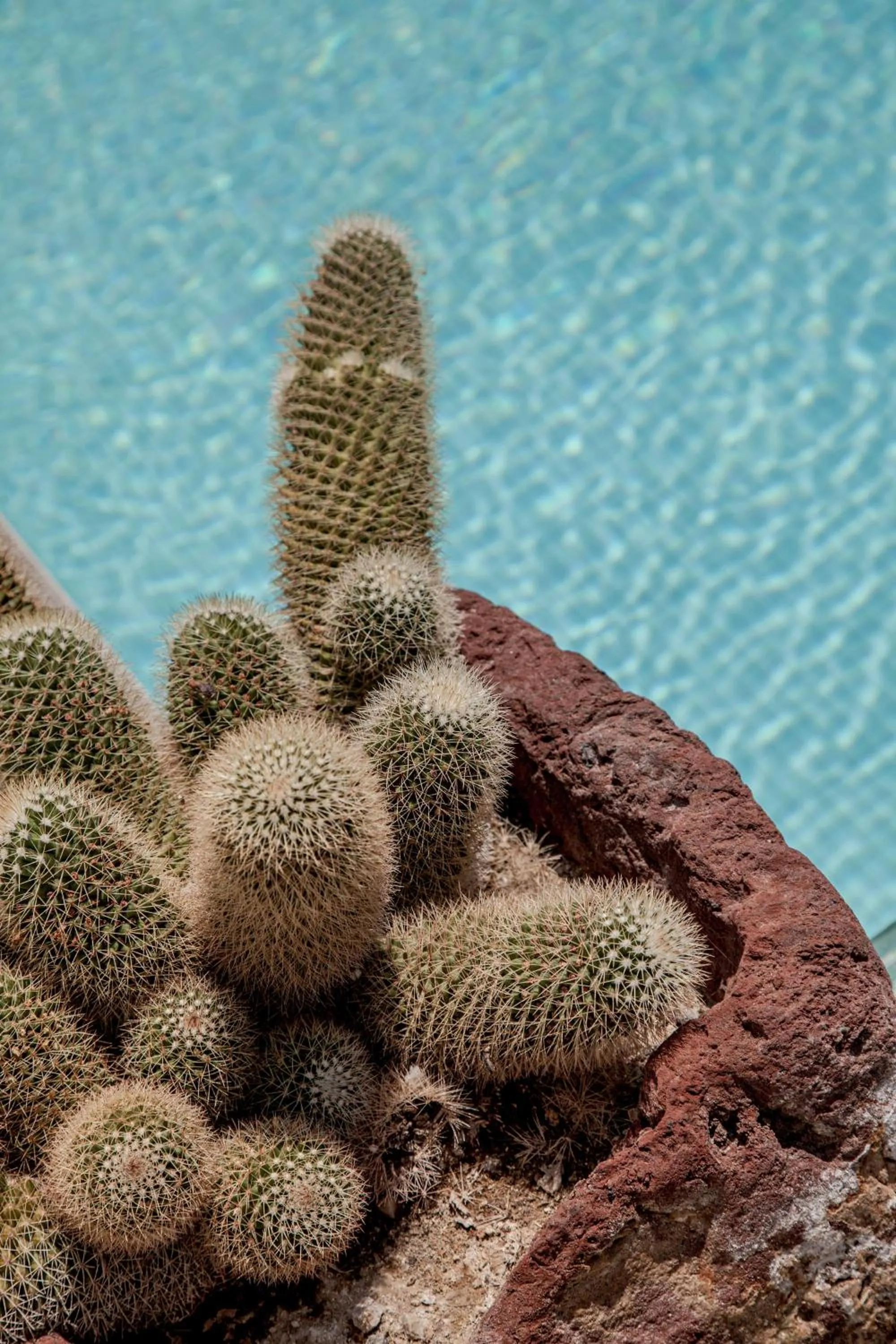 Property building in Evgenia Villas & Suites by Calm Collection