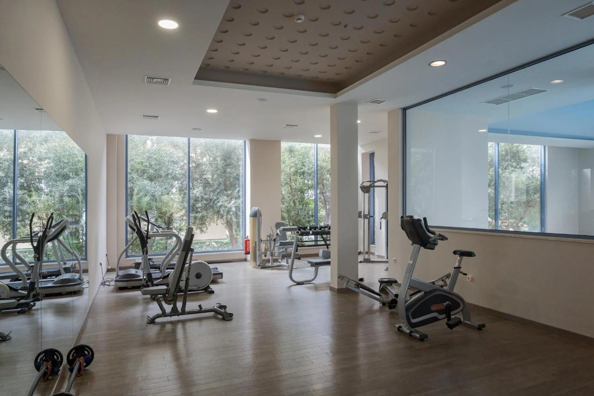 Fitness centre/facilities in Alkyon Resort Hotel & Spa