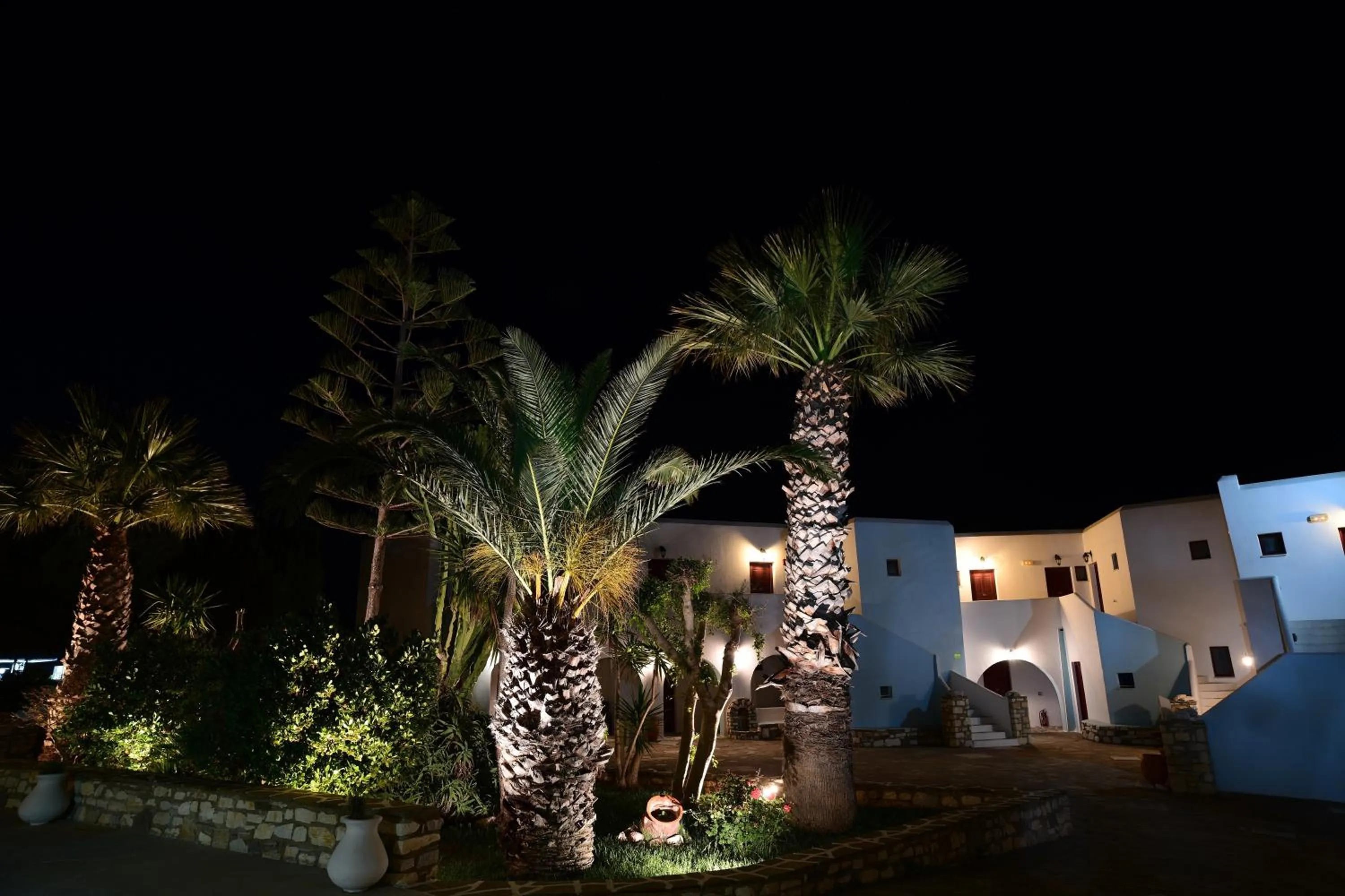 Night in Asteras Paradise
