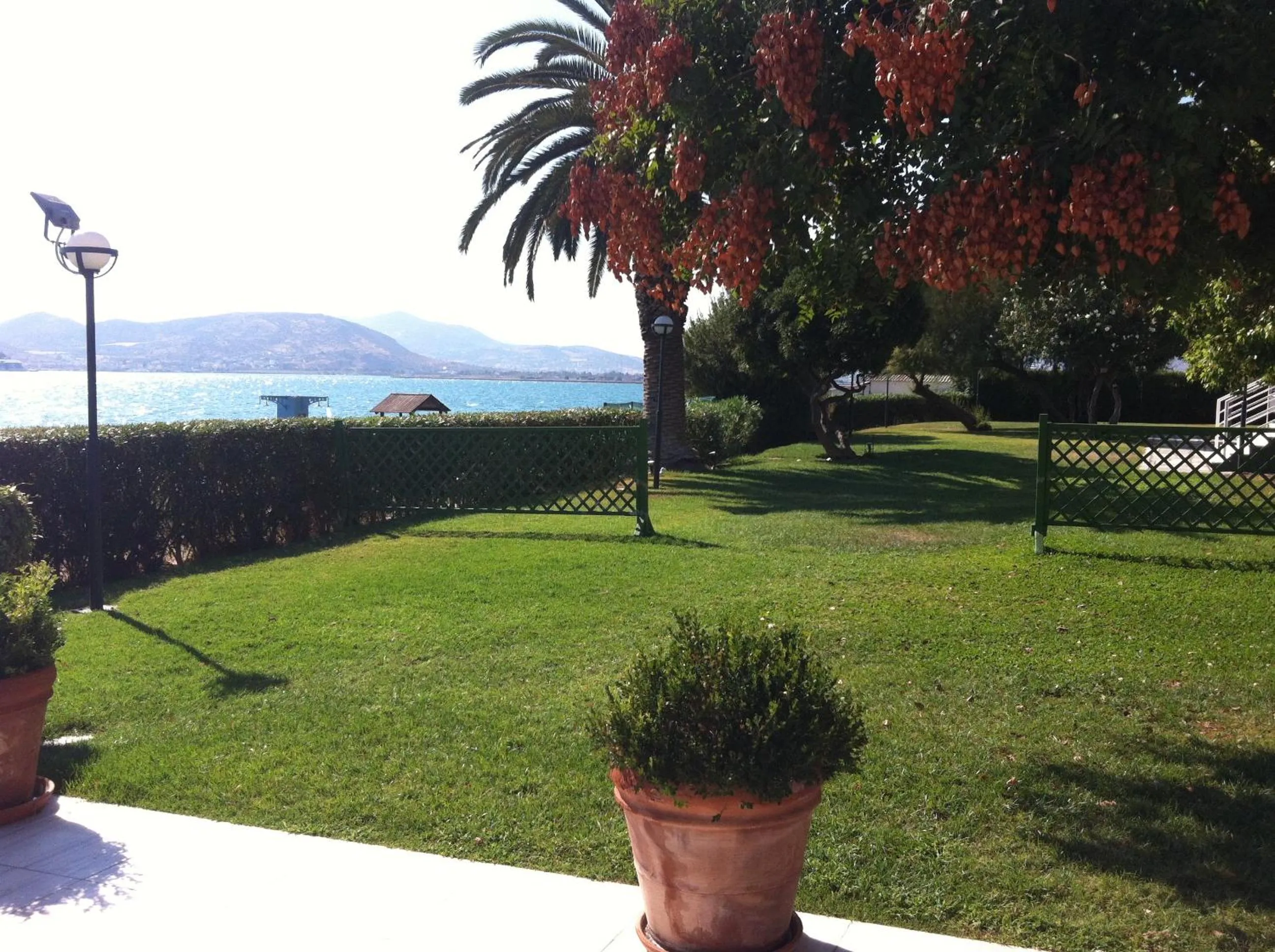 Garden in Domotel Xenia Volos