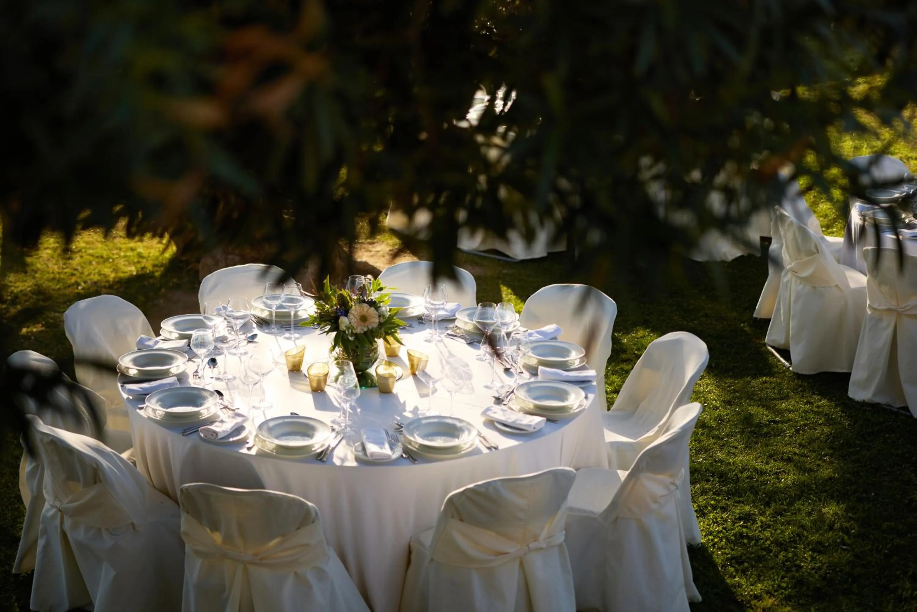 Banquet/Function facilities in Domotel Xenia Volos