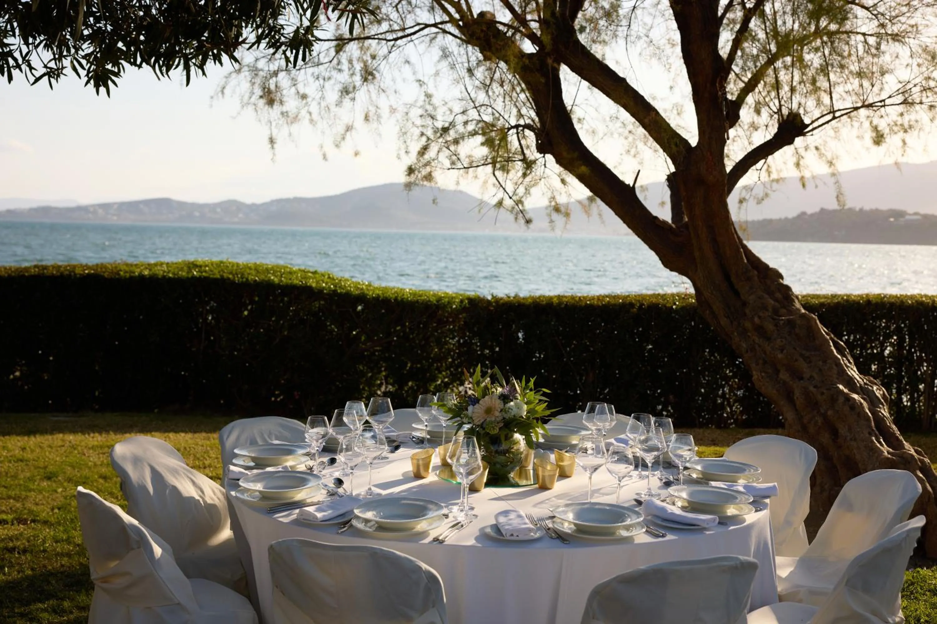 Evening entertainment in Domotel Xenia Volos