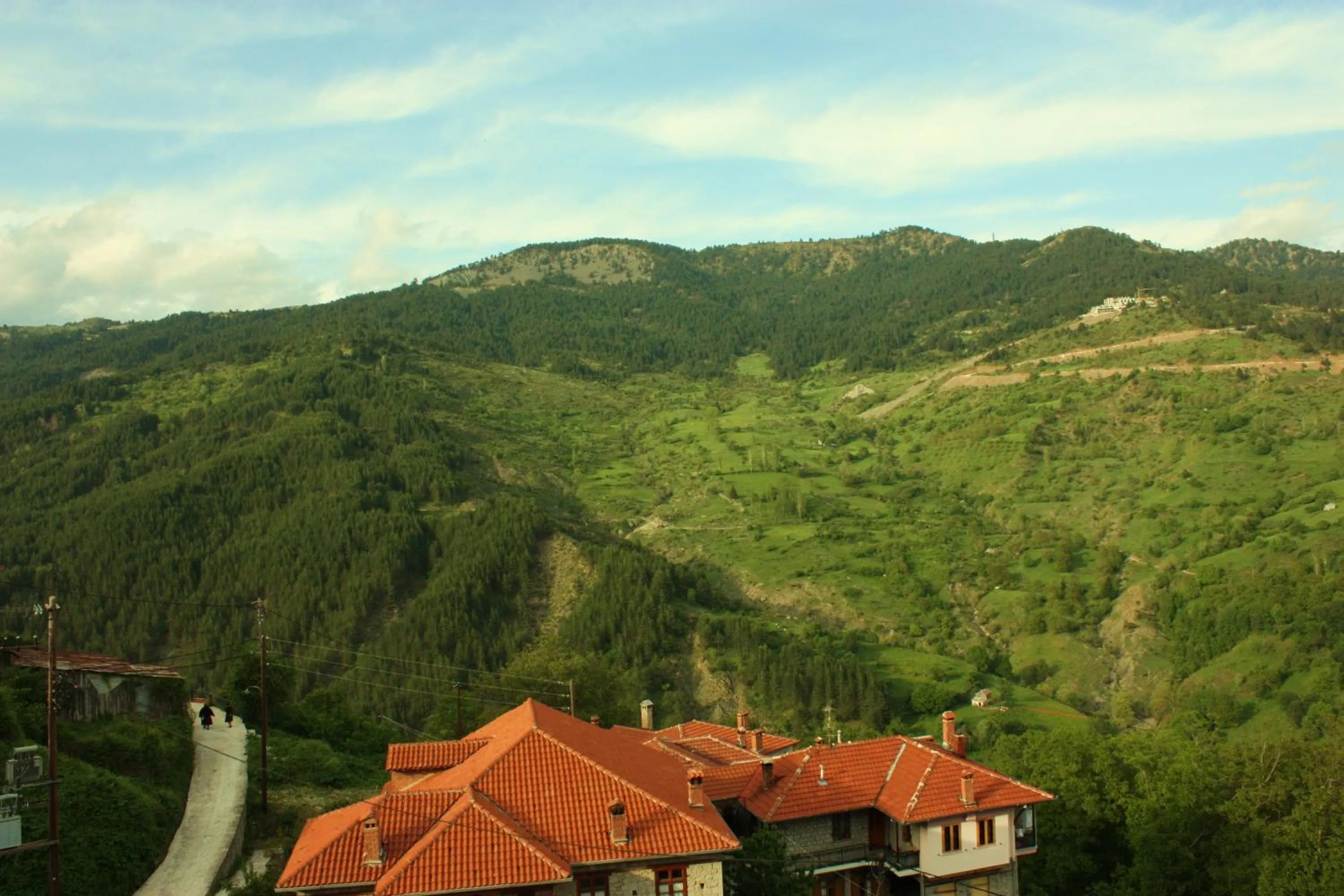 View (from property/room) in Archontiko Metsovou Luxury Boutique Spa Hotel
