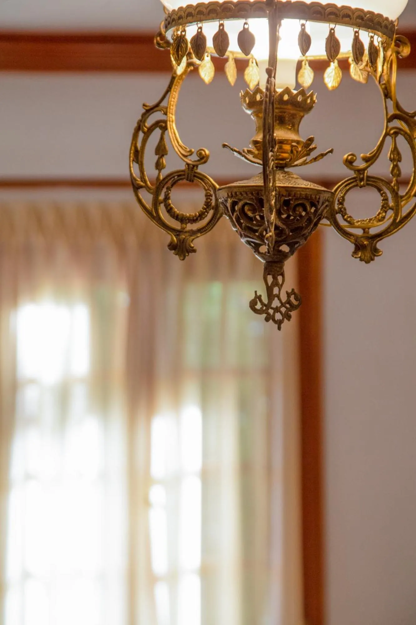 Property building in Hotel Adonis