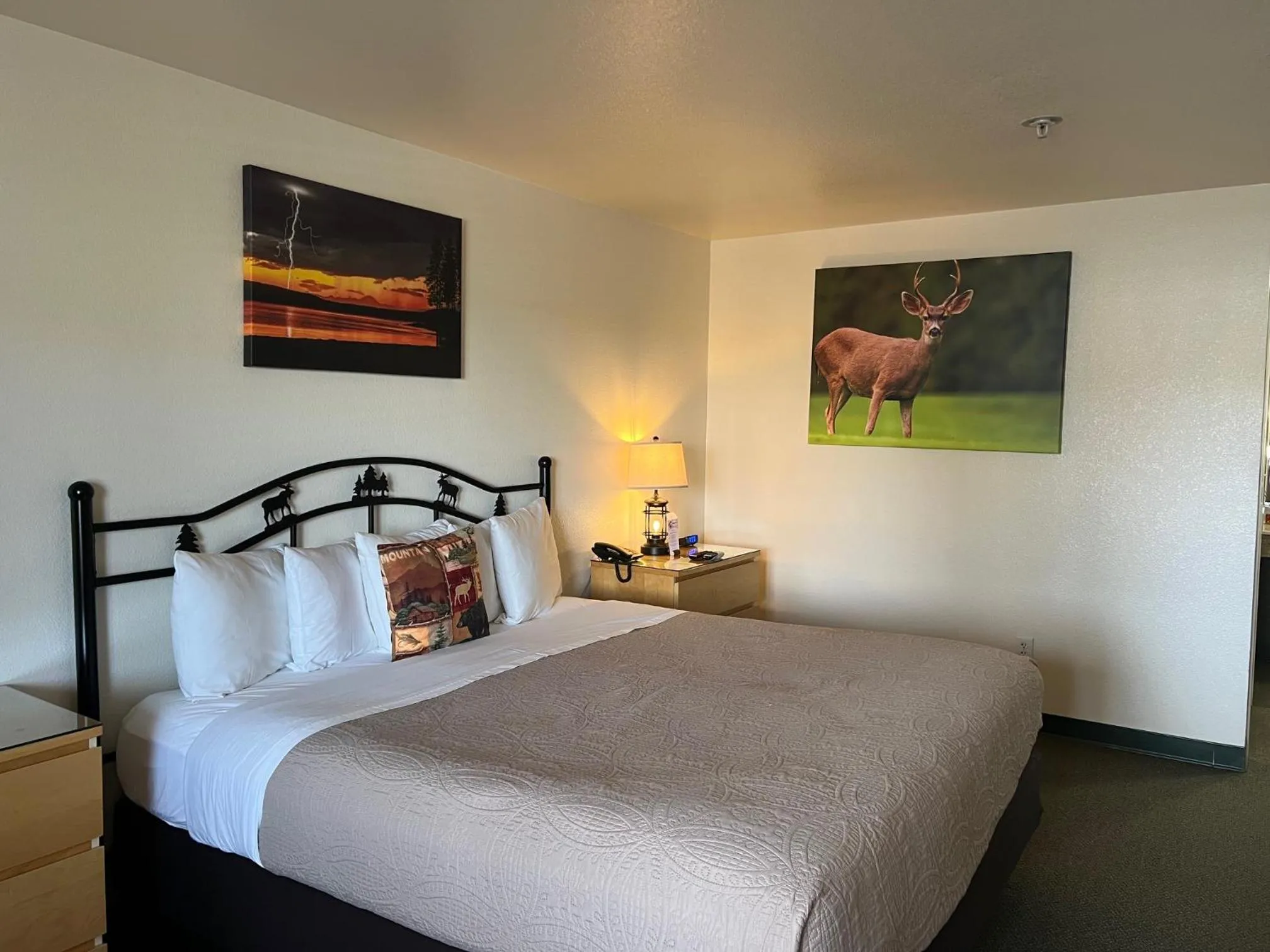 Bed in Antlers Inn