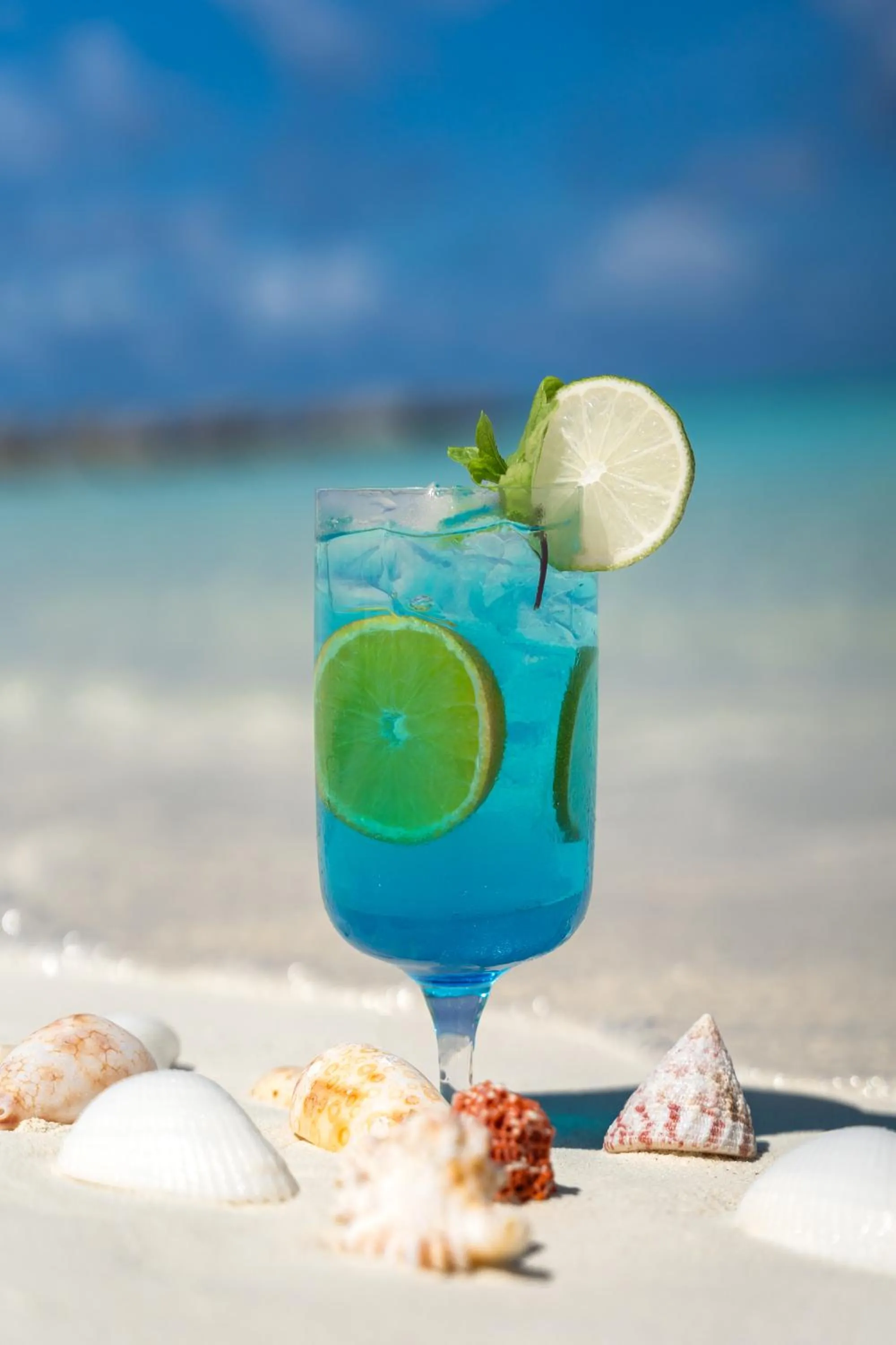 Alcoholic drinks in Barceló Whale Lagoon Maldives