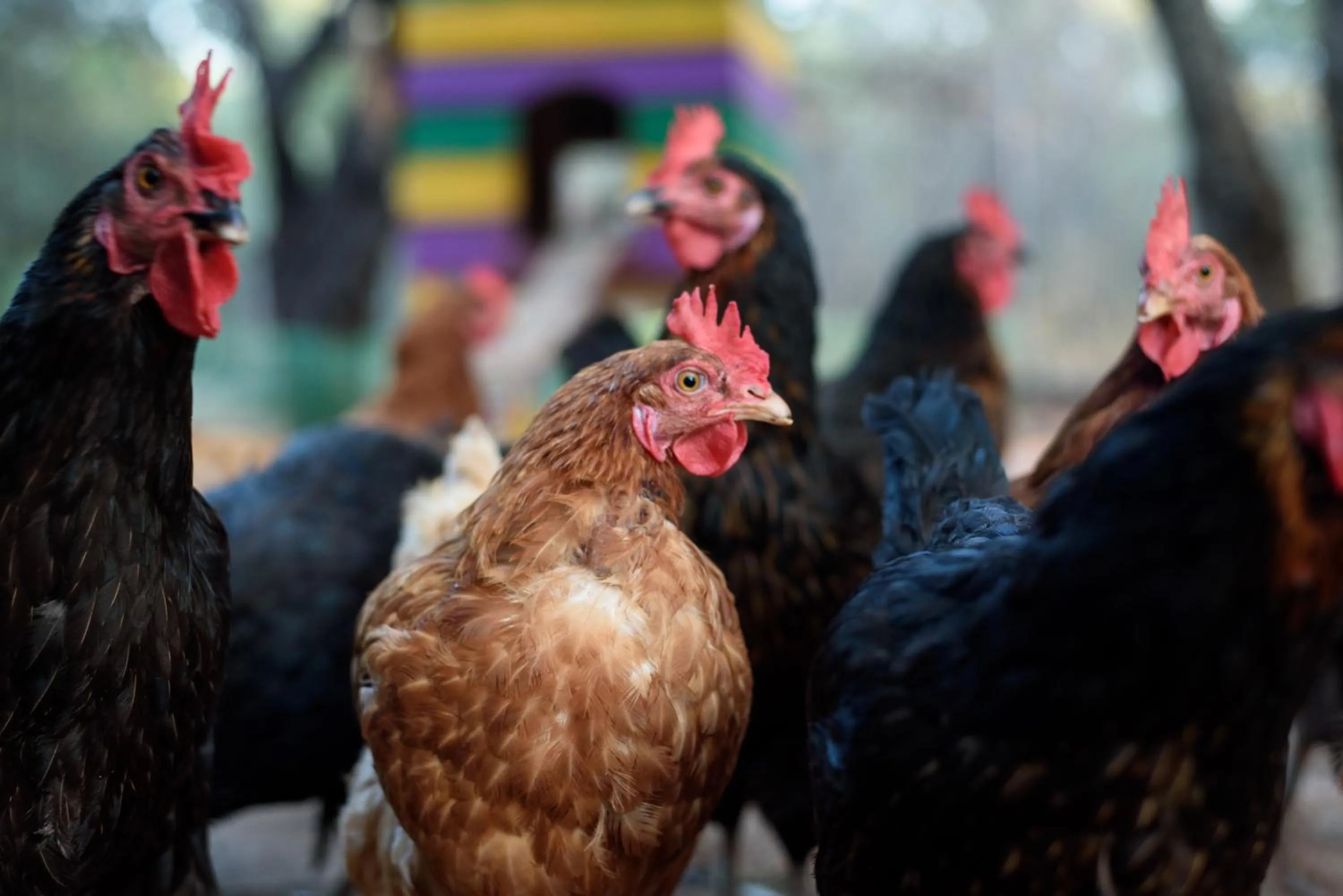 Paradisio Baby & Kinder Apartments