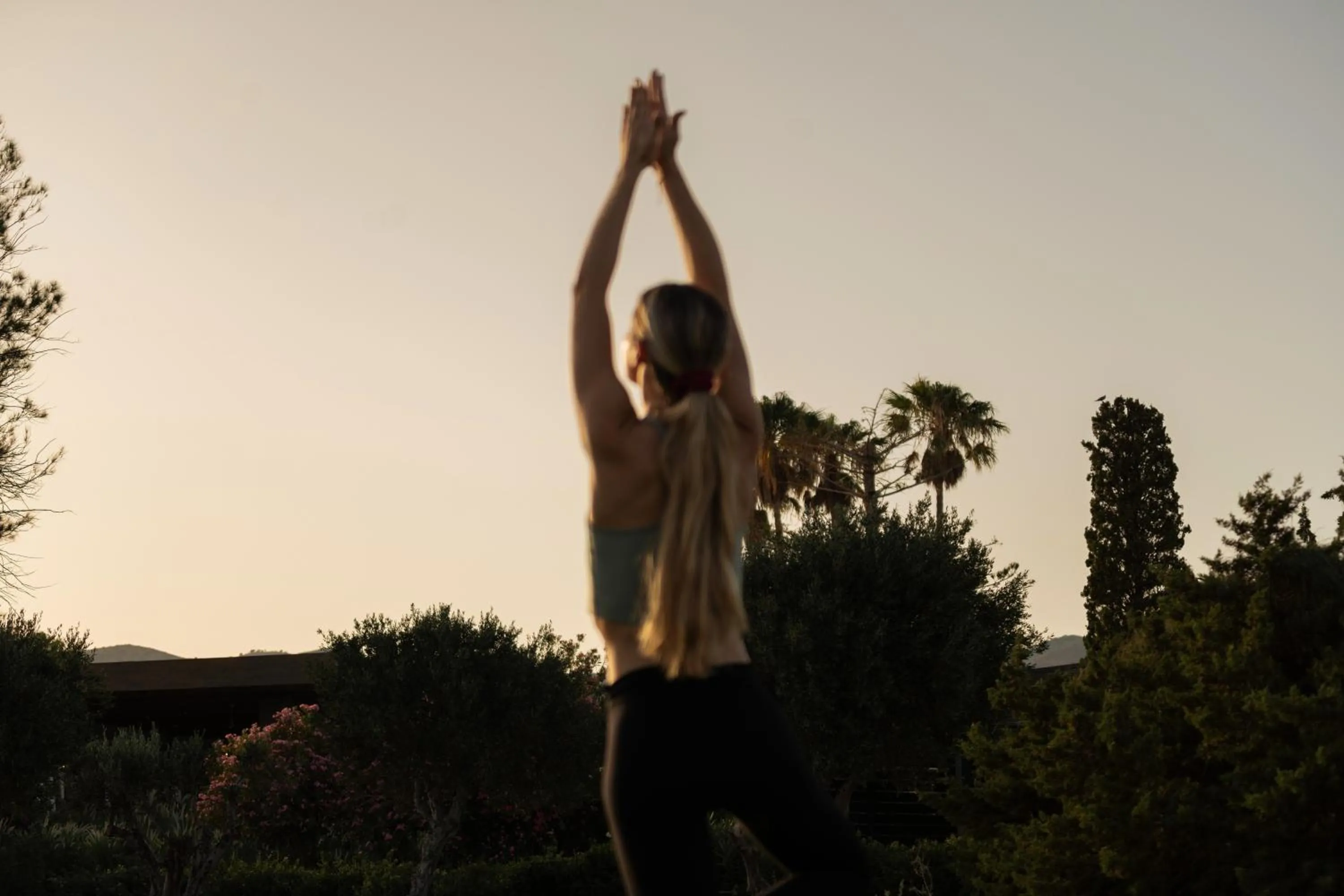 Activities in Minos Palace Resort - Adults Only