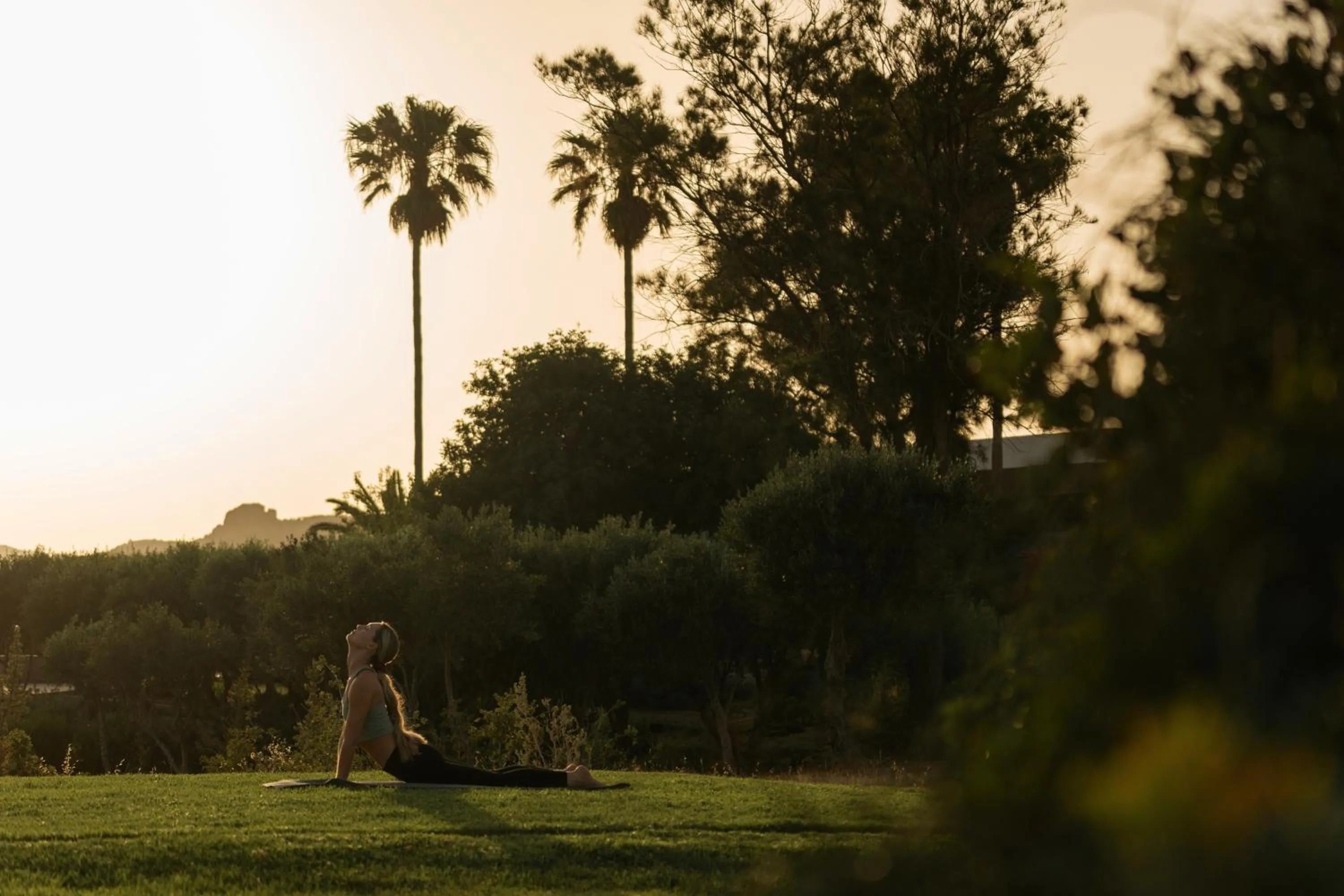 Activities in Minos Palace Resort - Adults Only