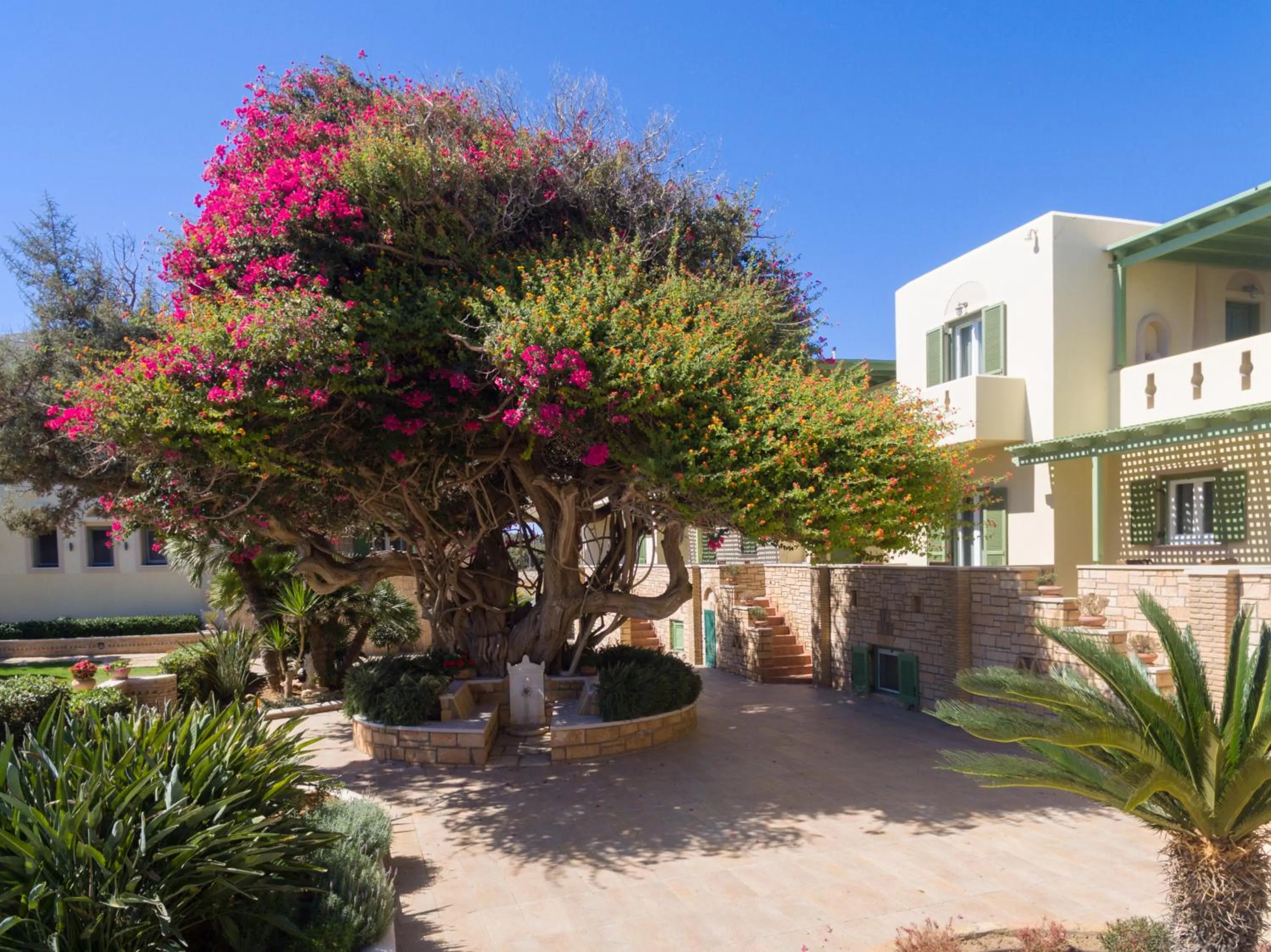 Garden view in Finikas Hotel