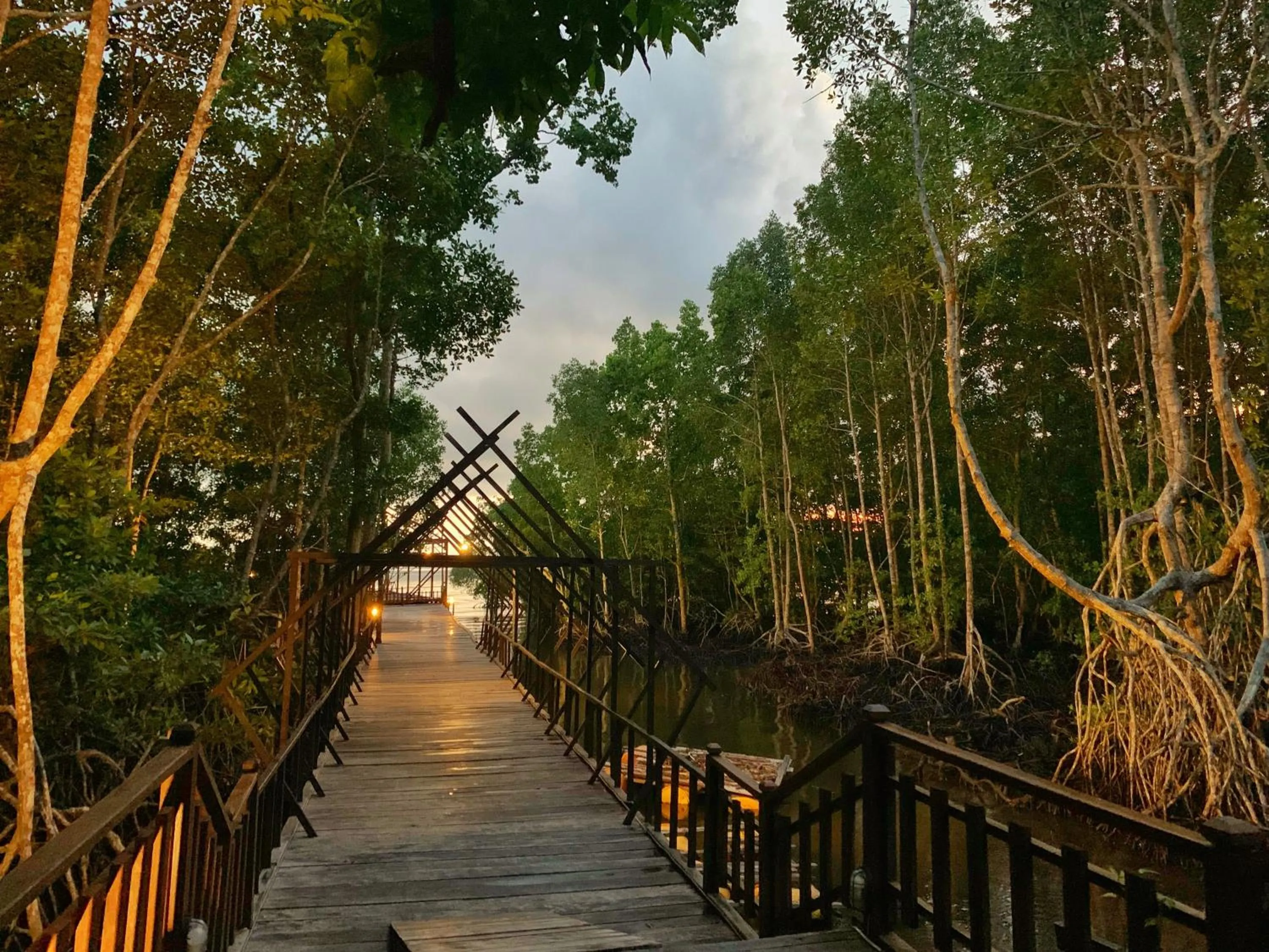 Natural landscape in Coriana Dive Resort